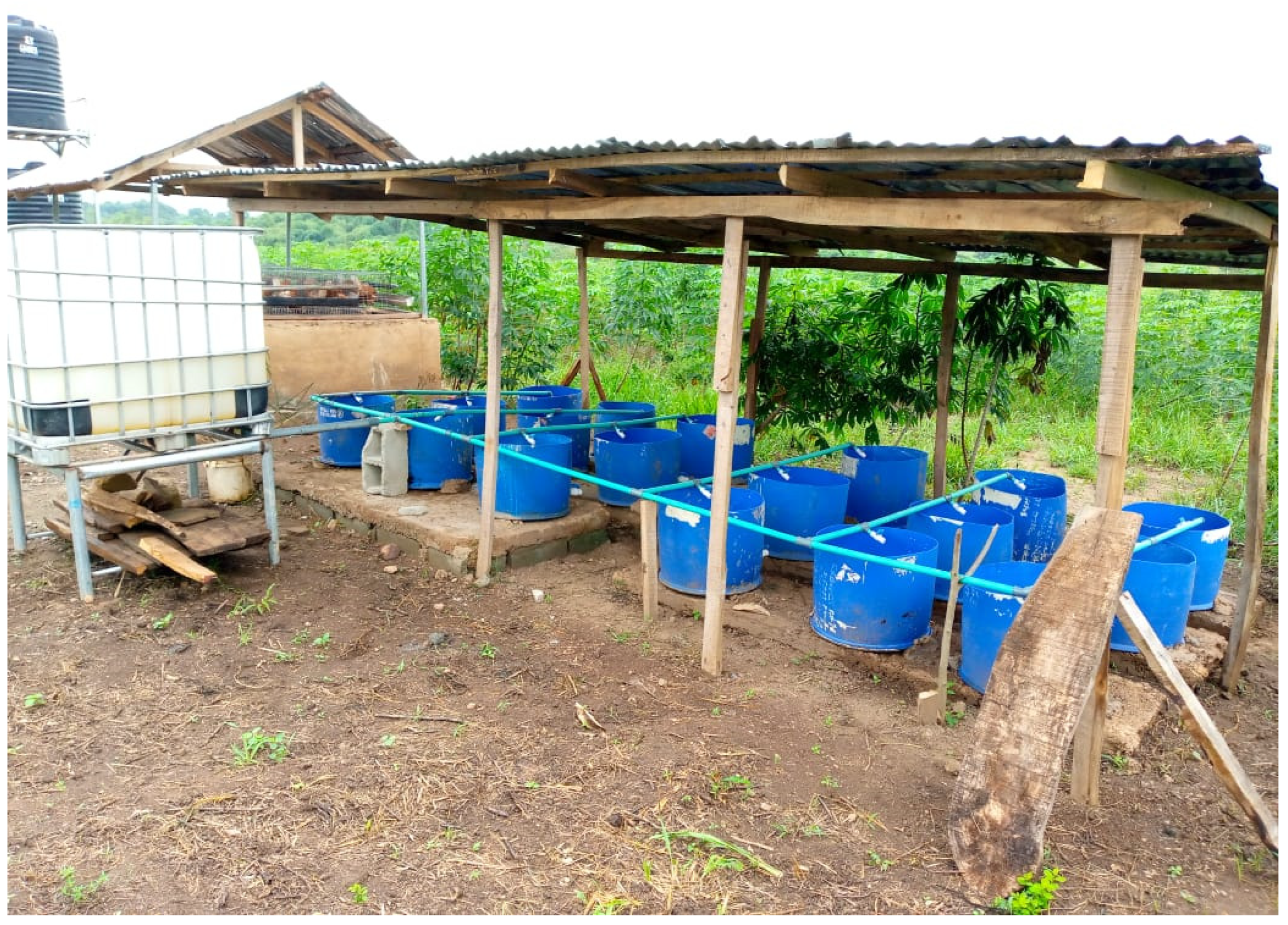 Biology 14 01390 g002 Biology 14 01390 g002