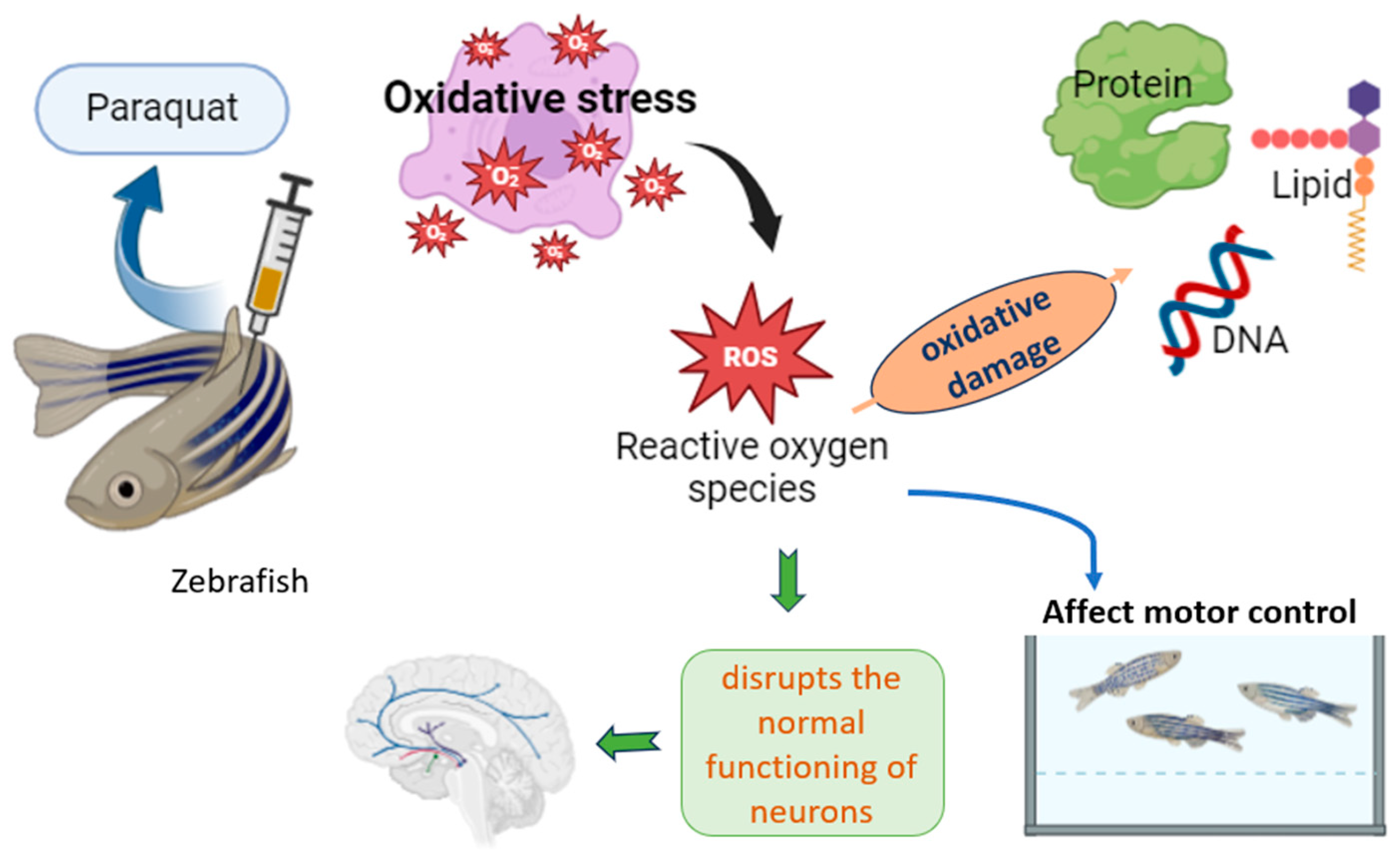 Biology 14 01397 g002 Biology 14 01397 g002