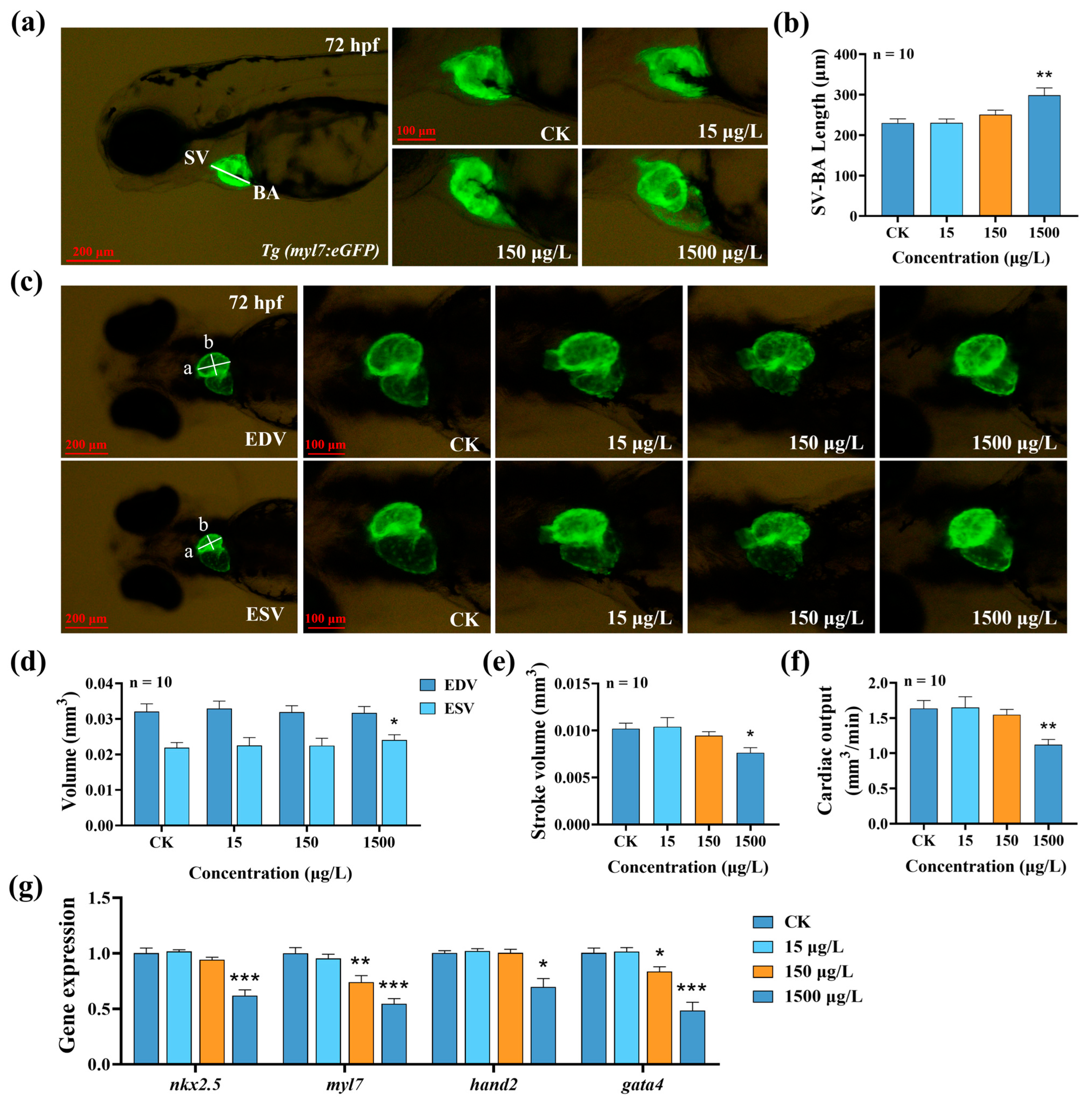 Biology 14 01398 g002 Biology 14 01398 g002