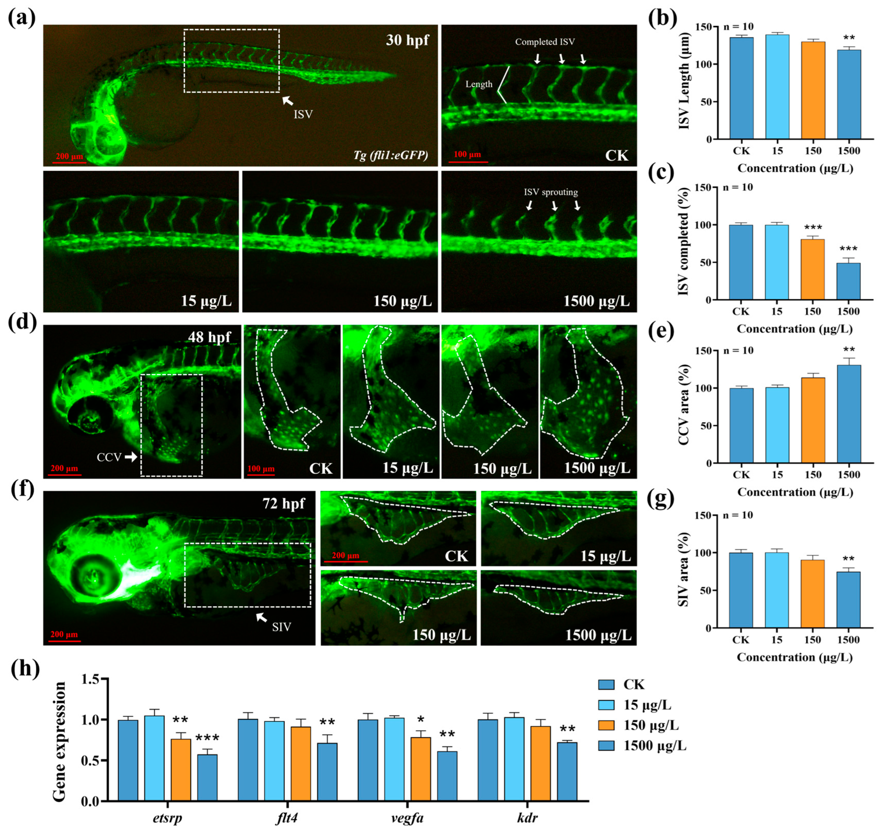 Biology 14 01398 g003 Biology 14 01398 g003
