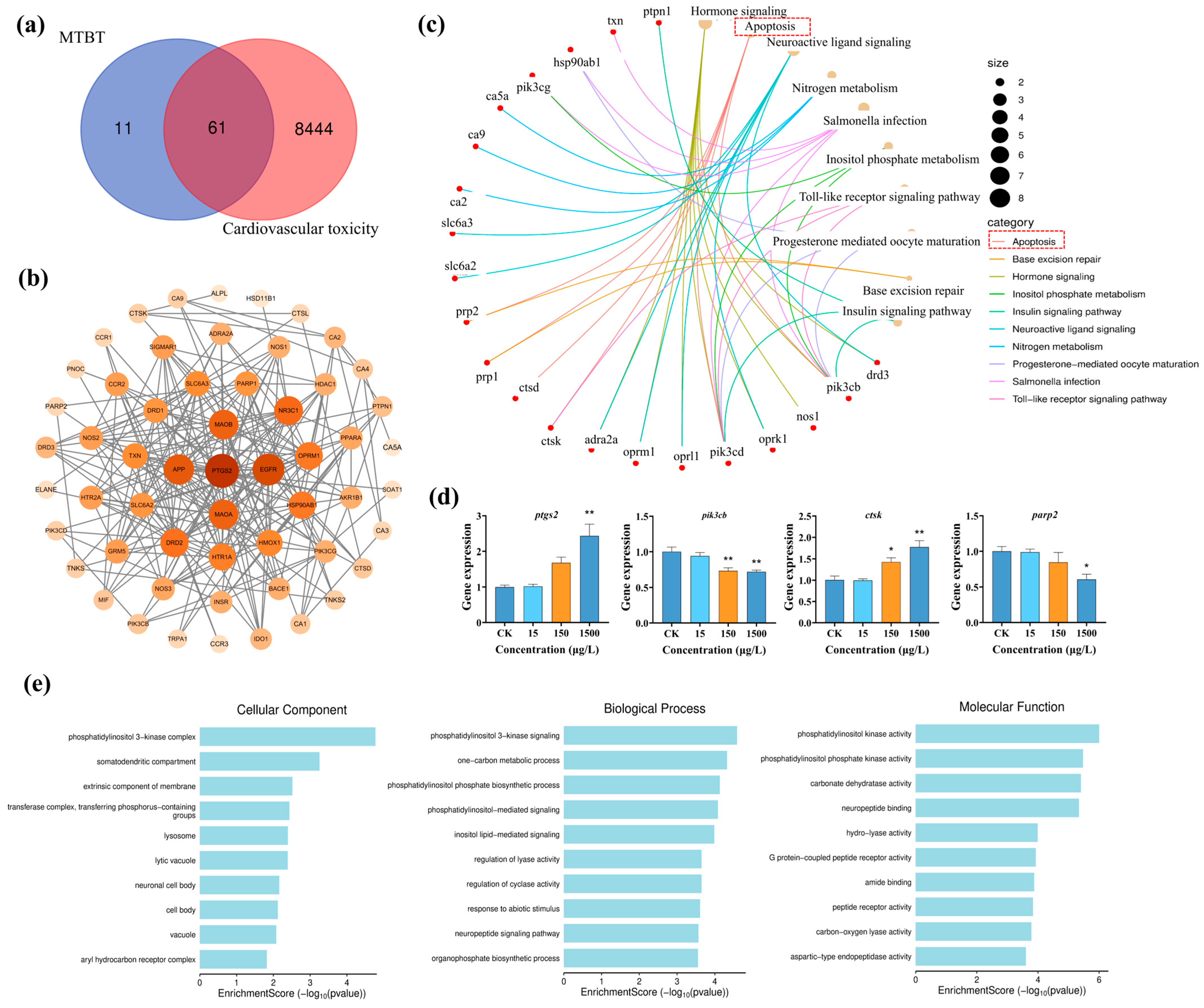 Biology 14 01398 g004 Biology 14 01398 g004