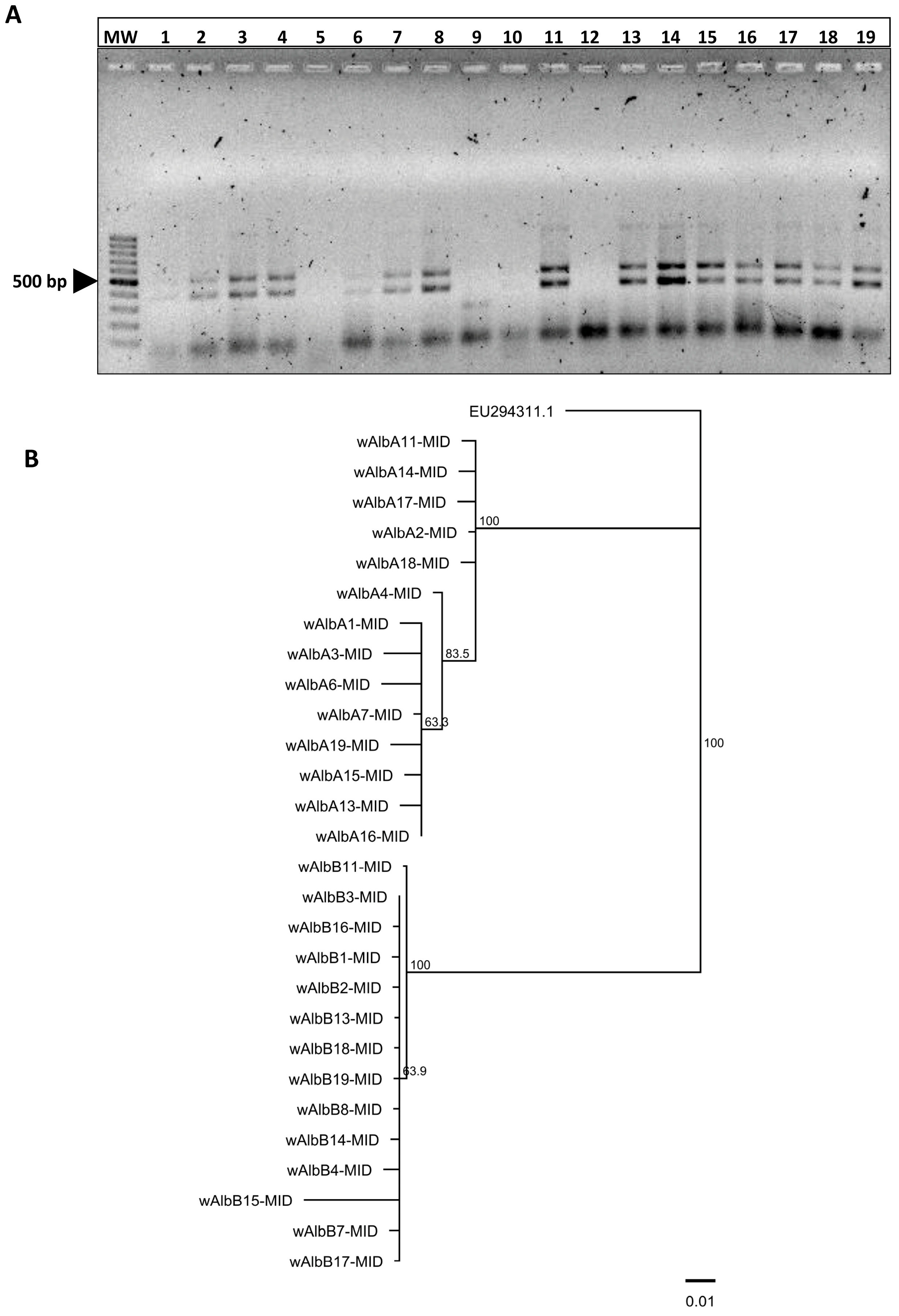 Biology 14 01399 g001