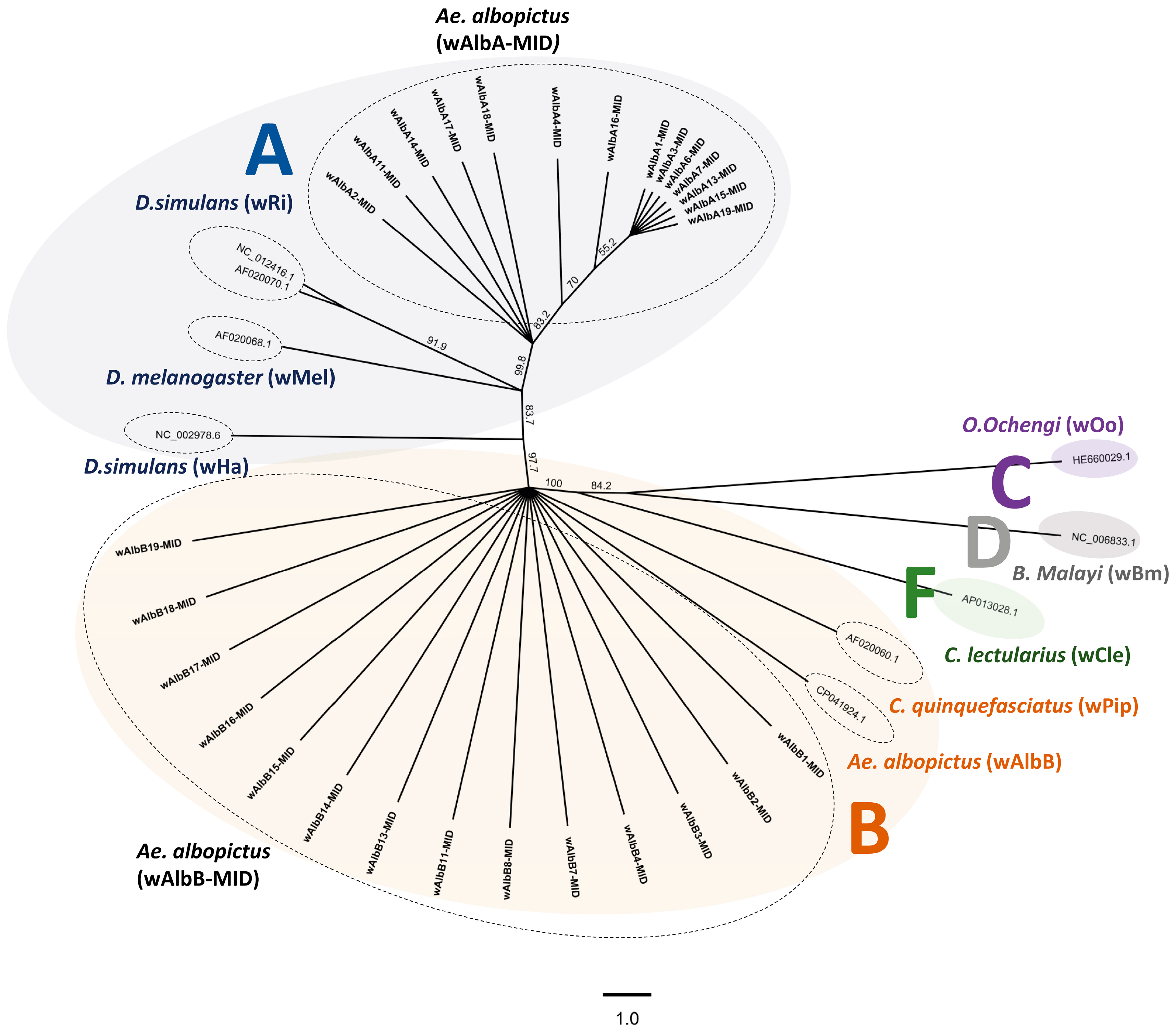 Biology 14 01399 g002