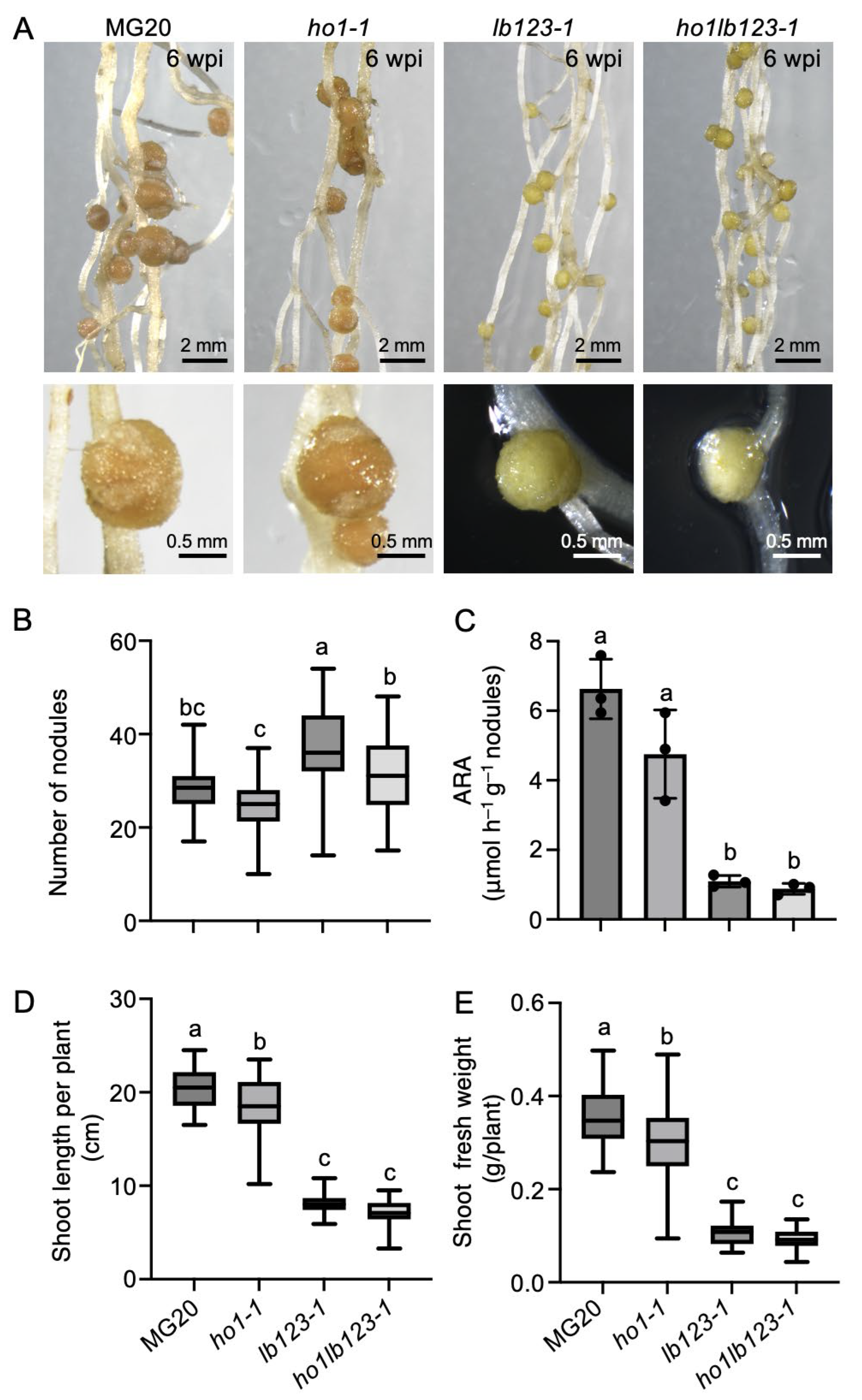 Biology 14 01401 g003 Biology 14 01401 g003