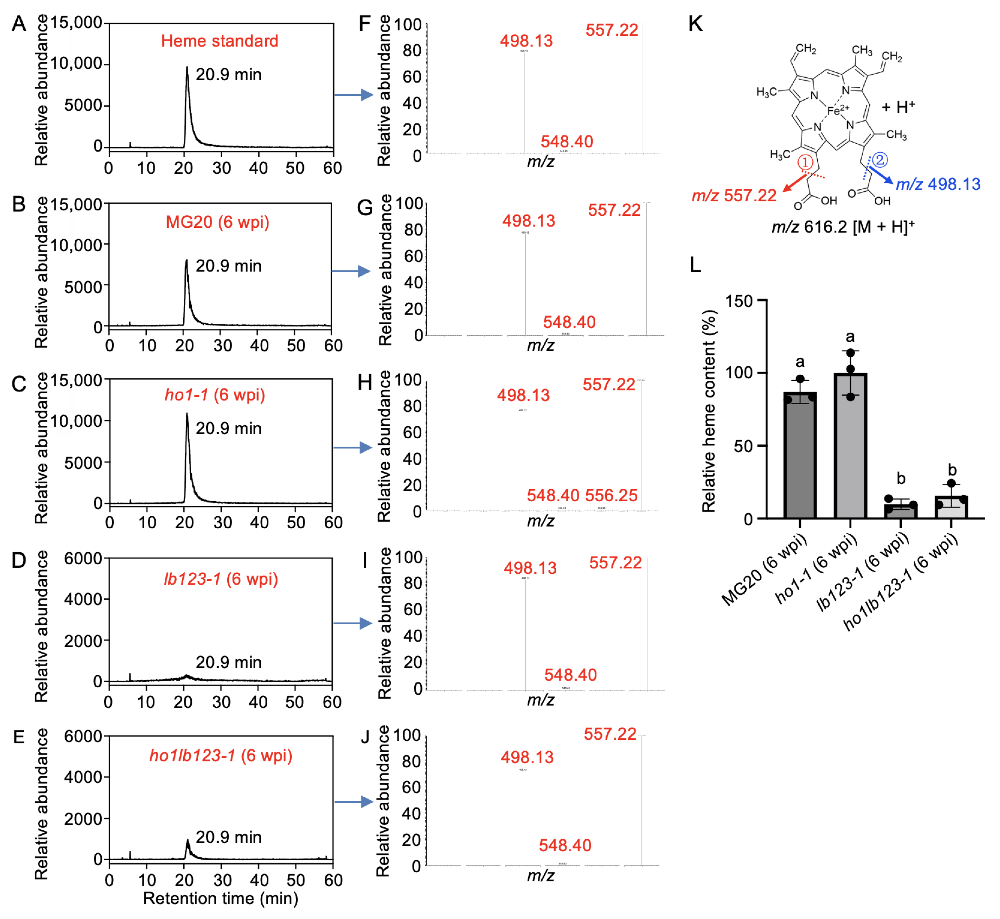 Biology 14 01401 g004 Biology 14 01401 g004
