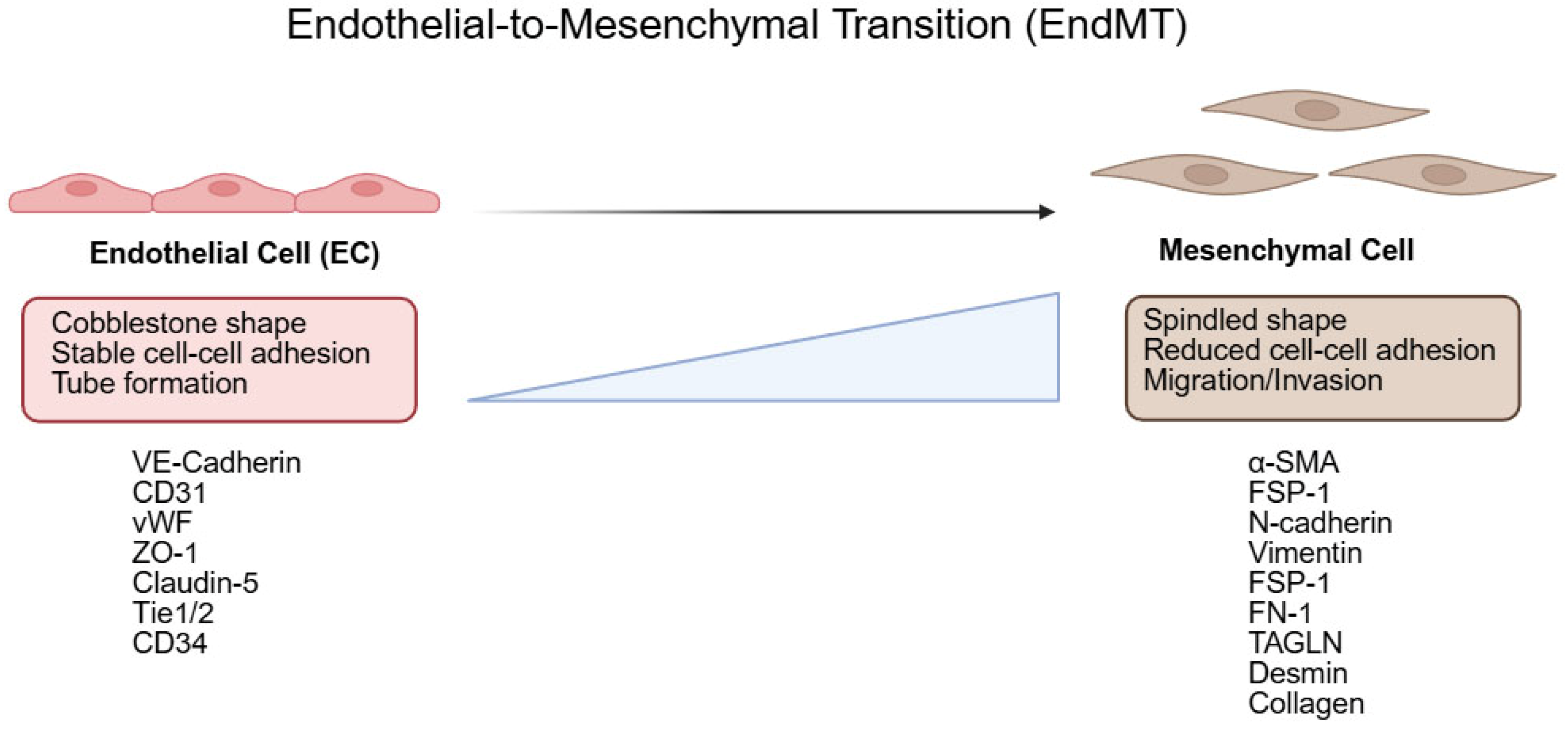 Biology 14 01403 g001 Biology 14 01403 g001