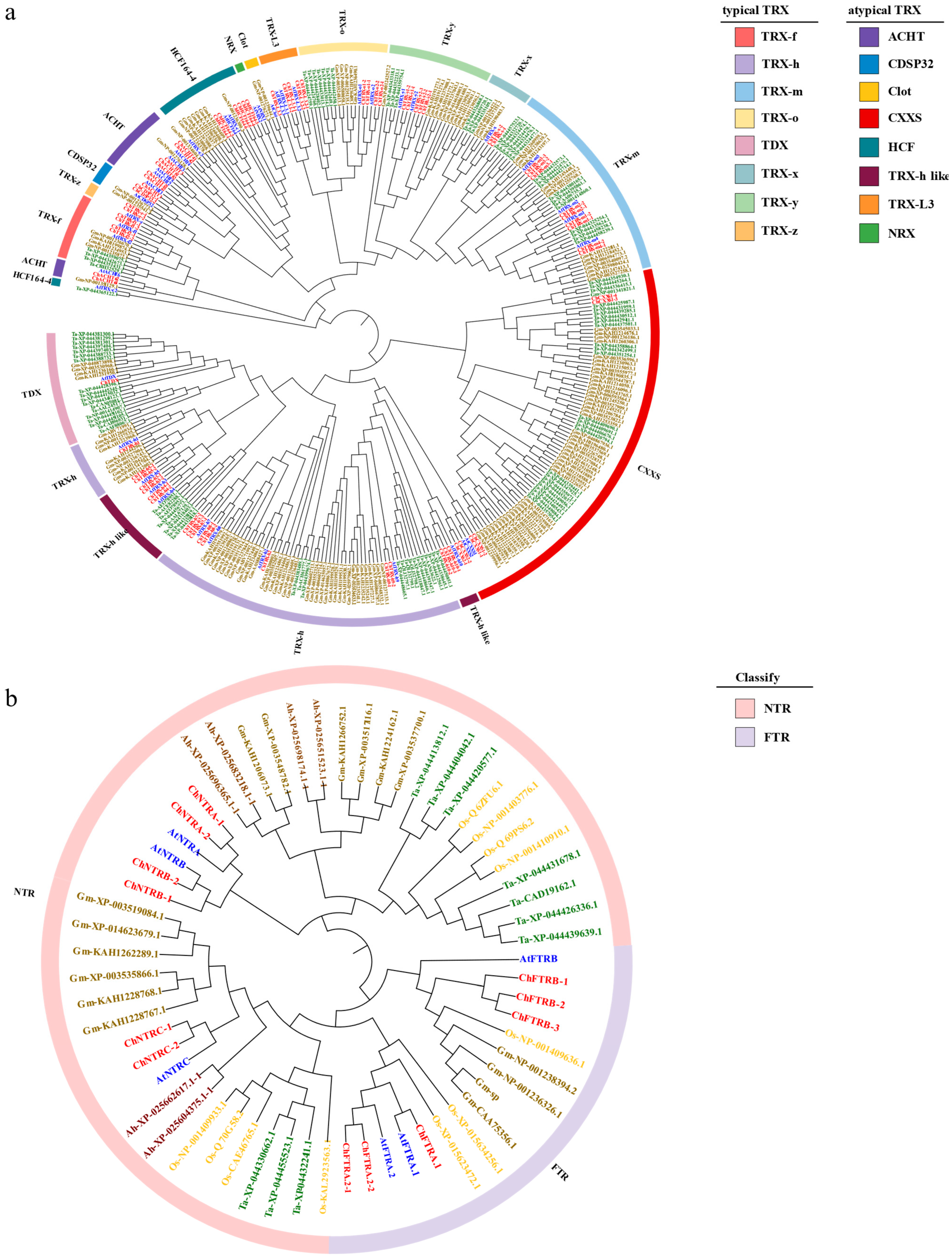 Biology 14 01404 g002 Biology 14 01404 g002