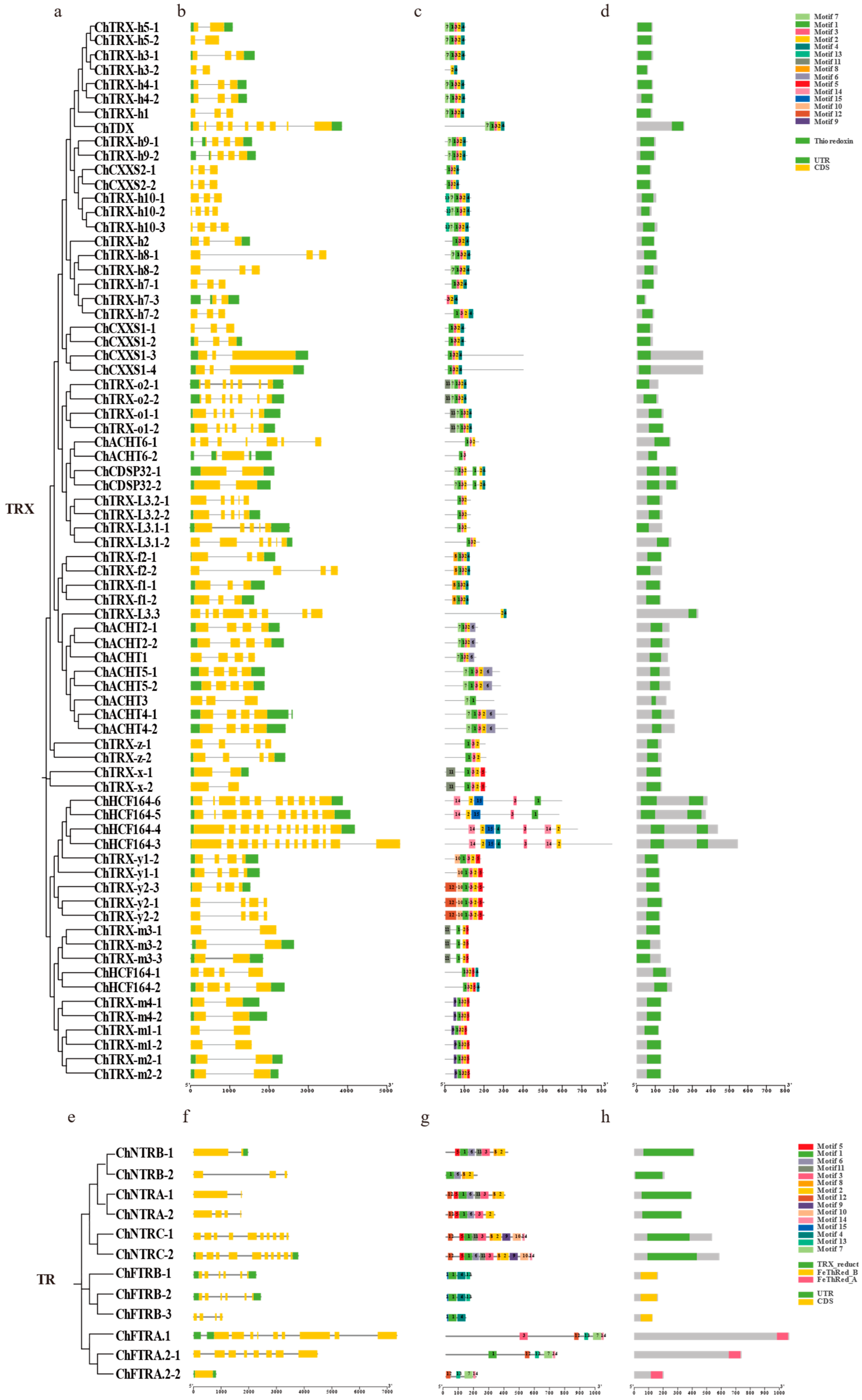 Biology 14 01404 g004 Biology 14 01404 g004