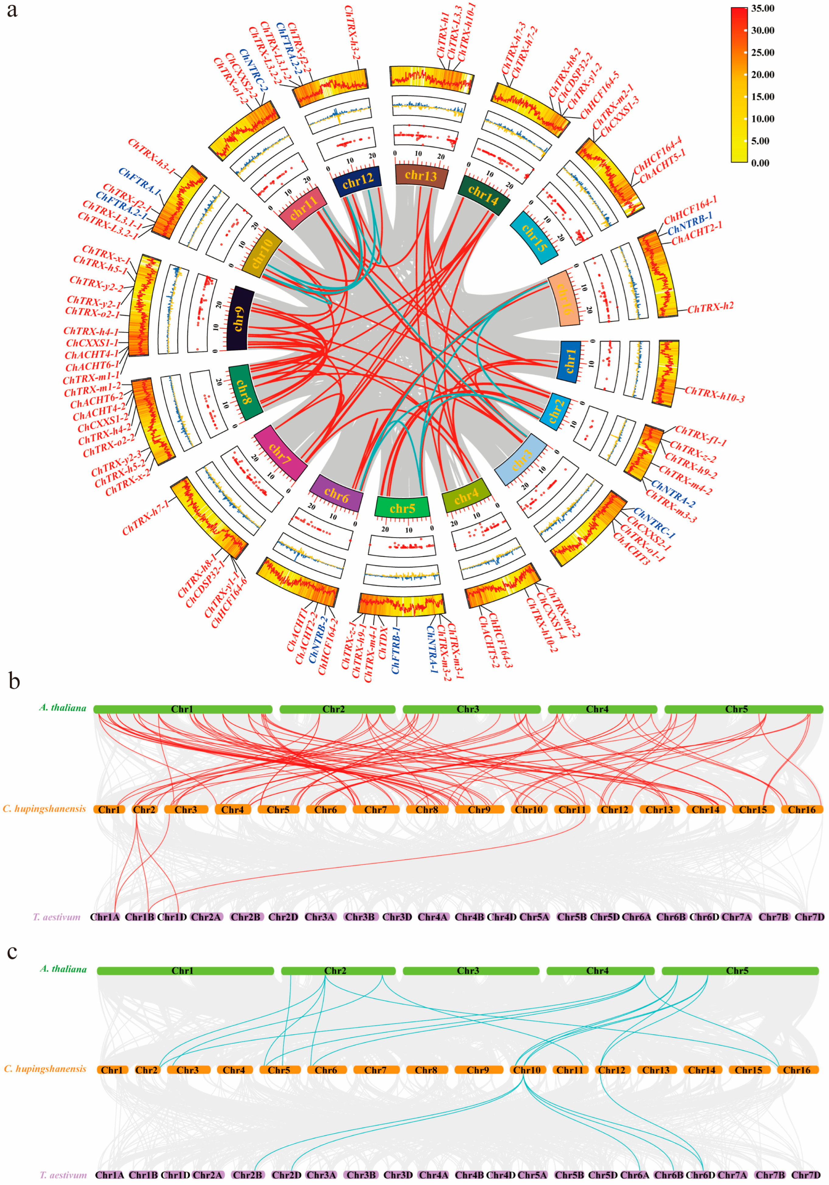 Biology 14 01404 g005 Biology 14 01404 g005