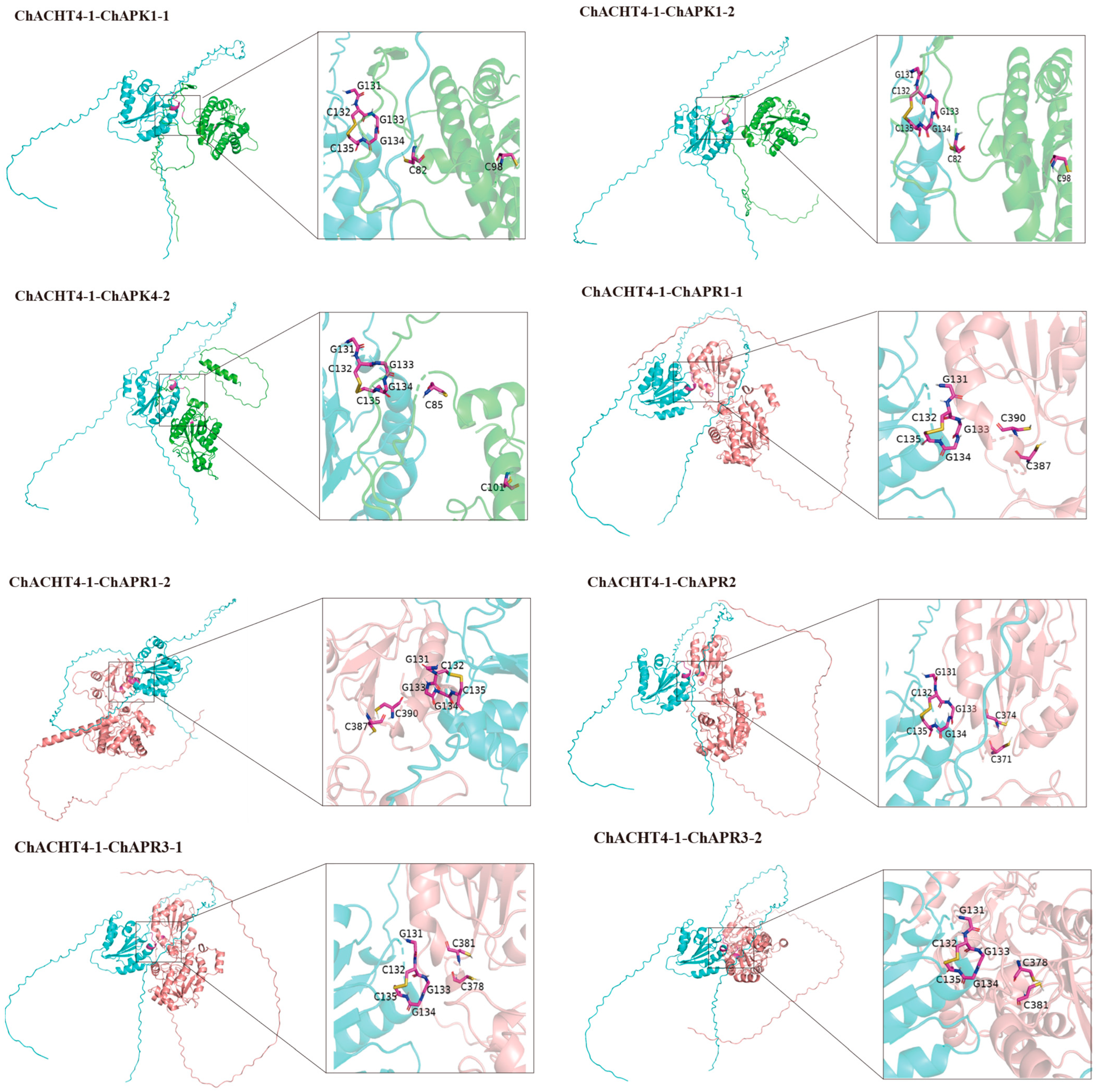 Biology 14 01404 g009 Biology 14 01404 g009
