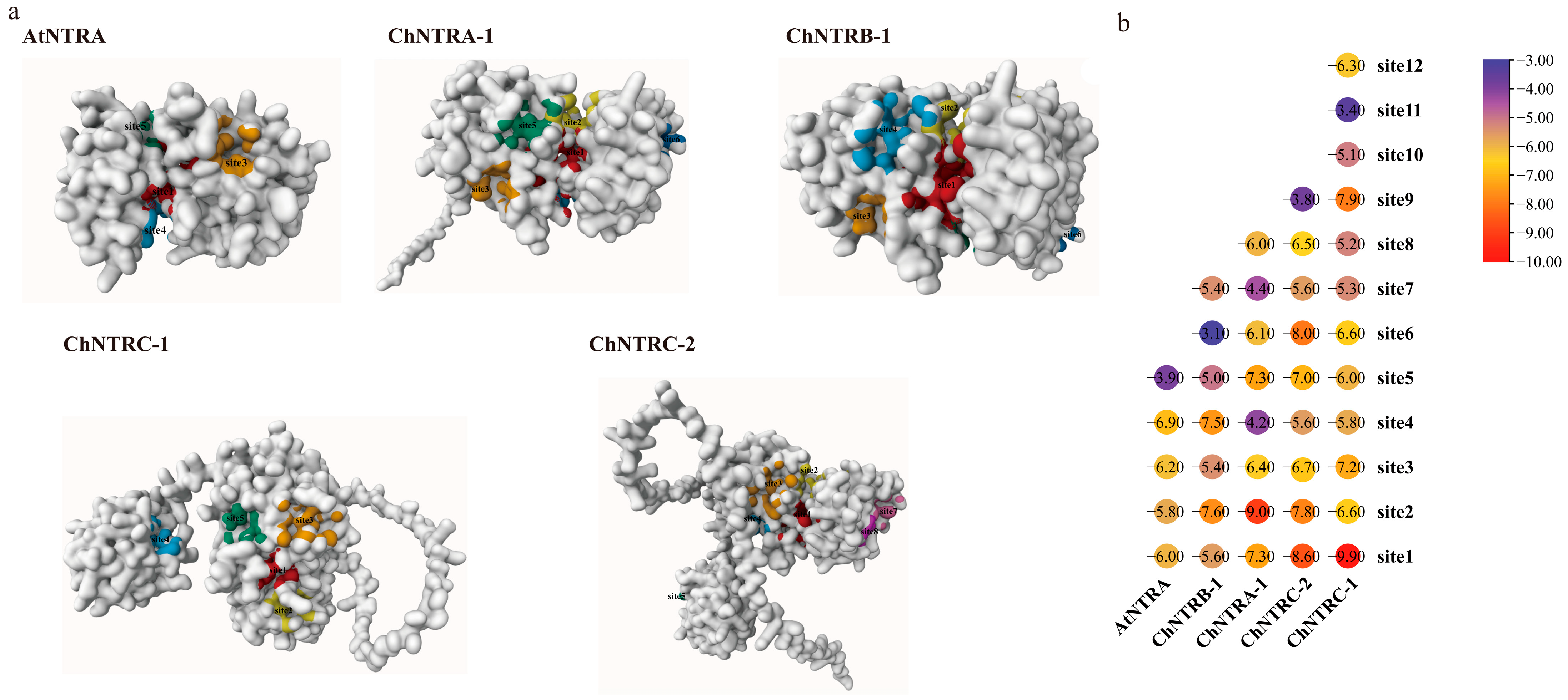 Biology 14 01404 g011 Biology 14 01404 g011