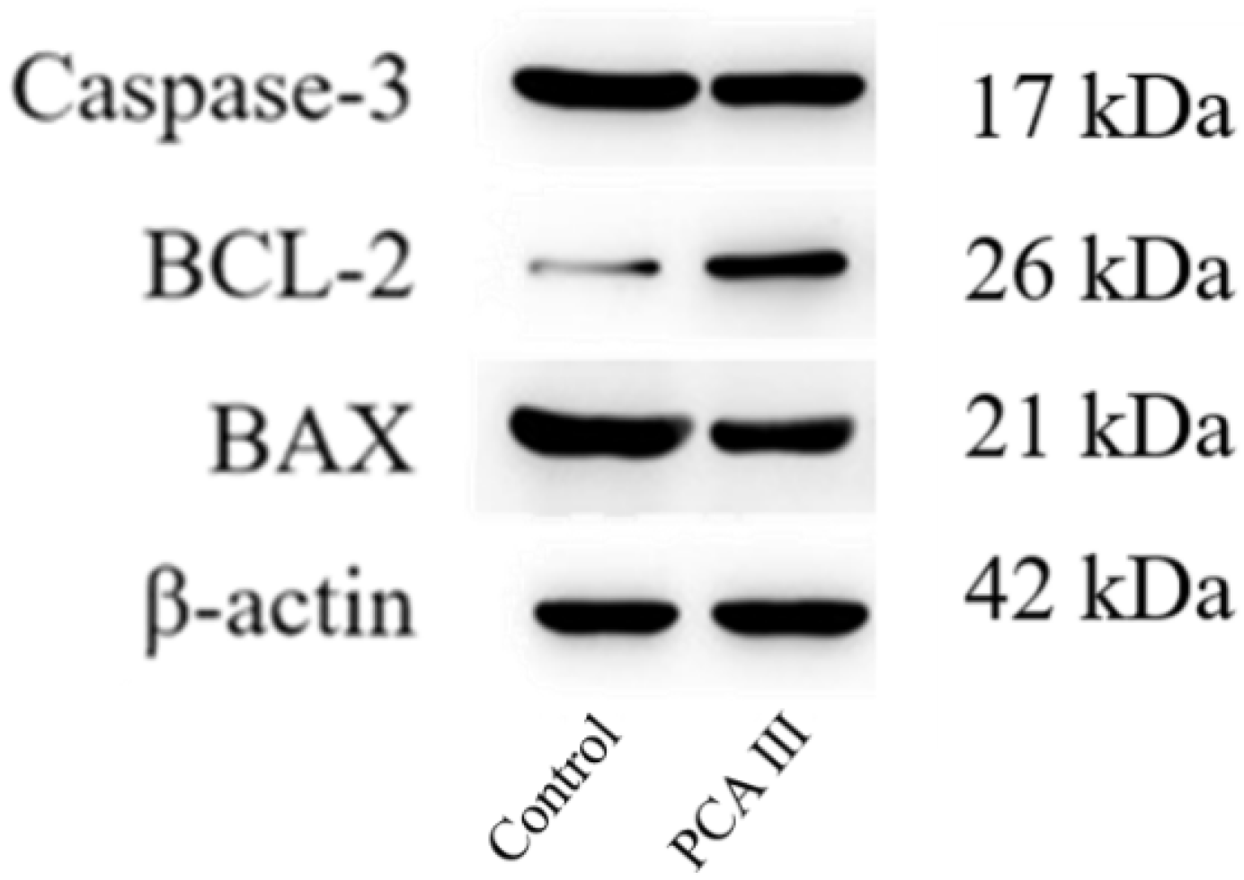 Biology 14 01406 g003