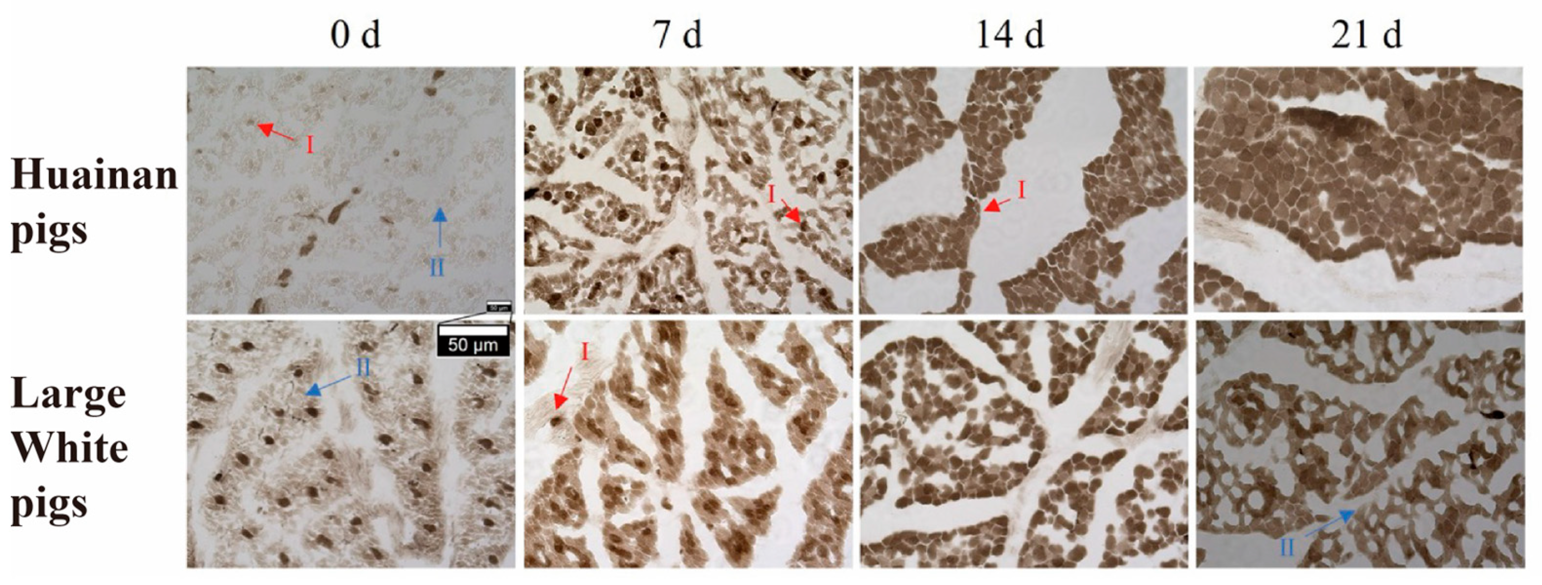 Biology 14 01409 g001