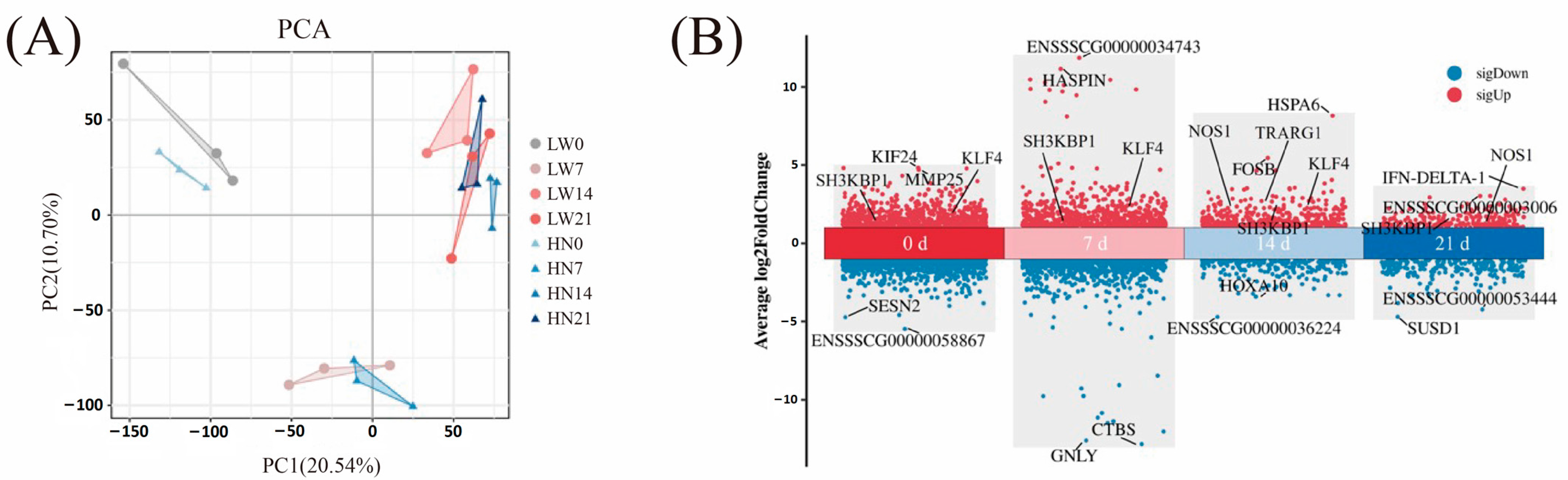 Biology 14 01409 g002