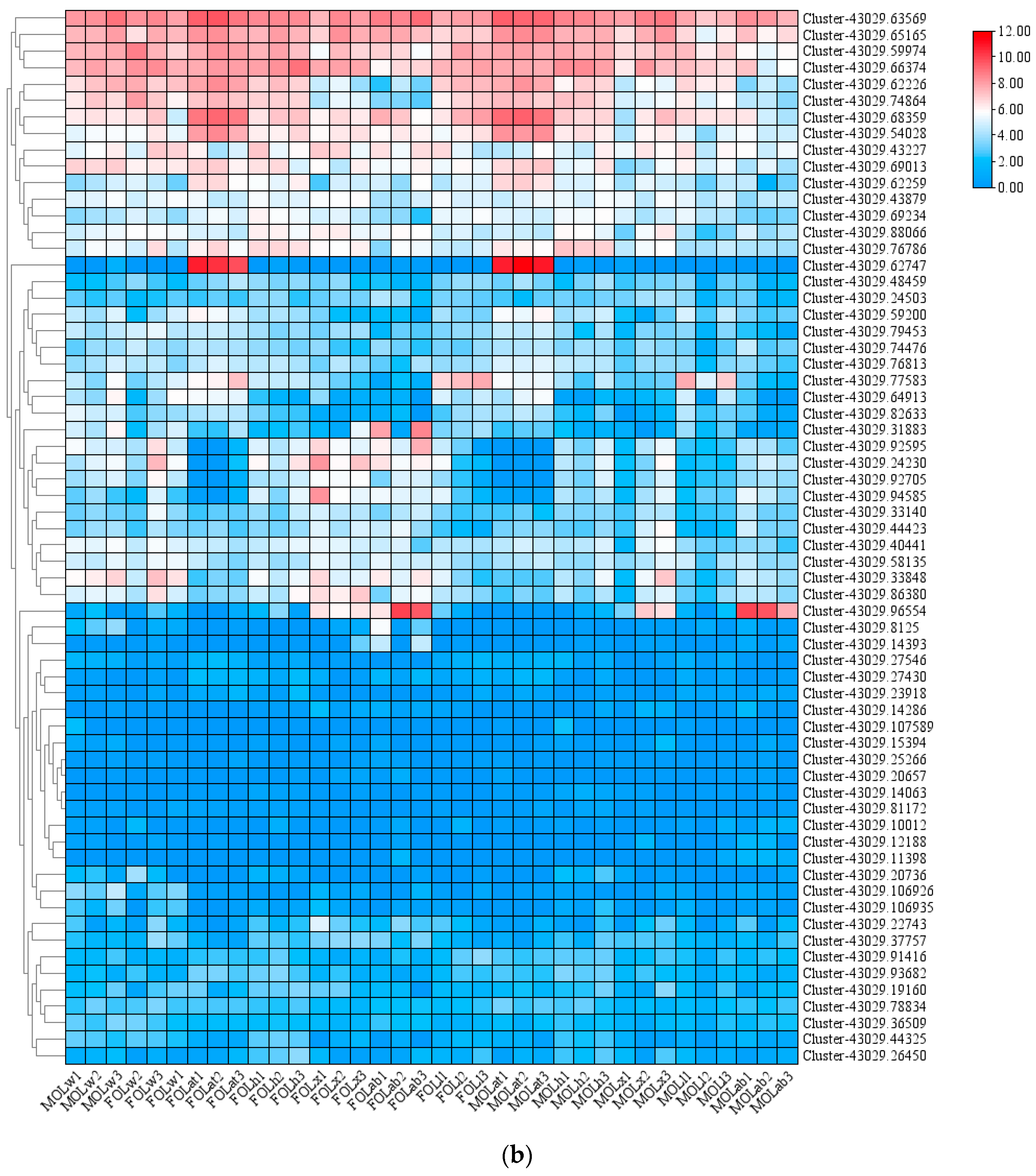 Biology 14 01411 g001b Biology 14 01411 g001b