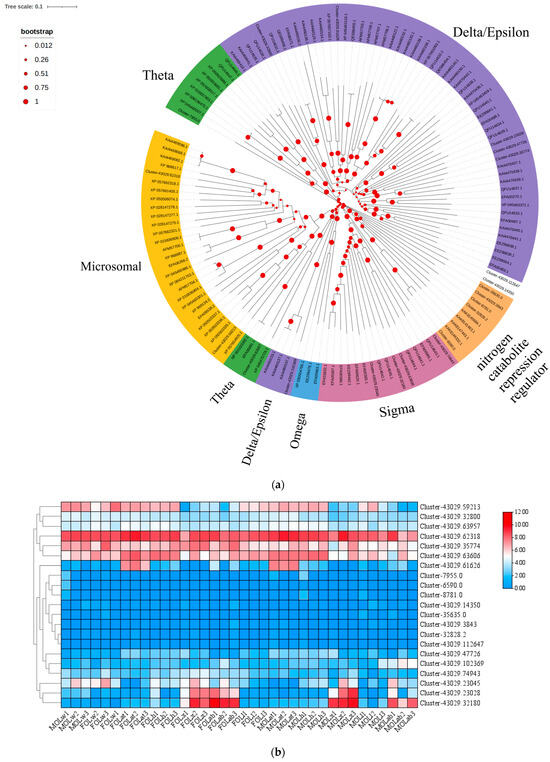 Molecular Docking of Detoxification Enzymes from Oides