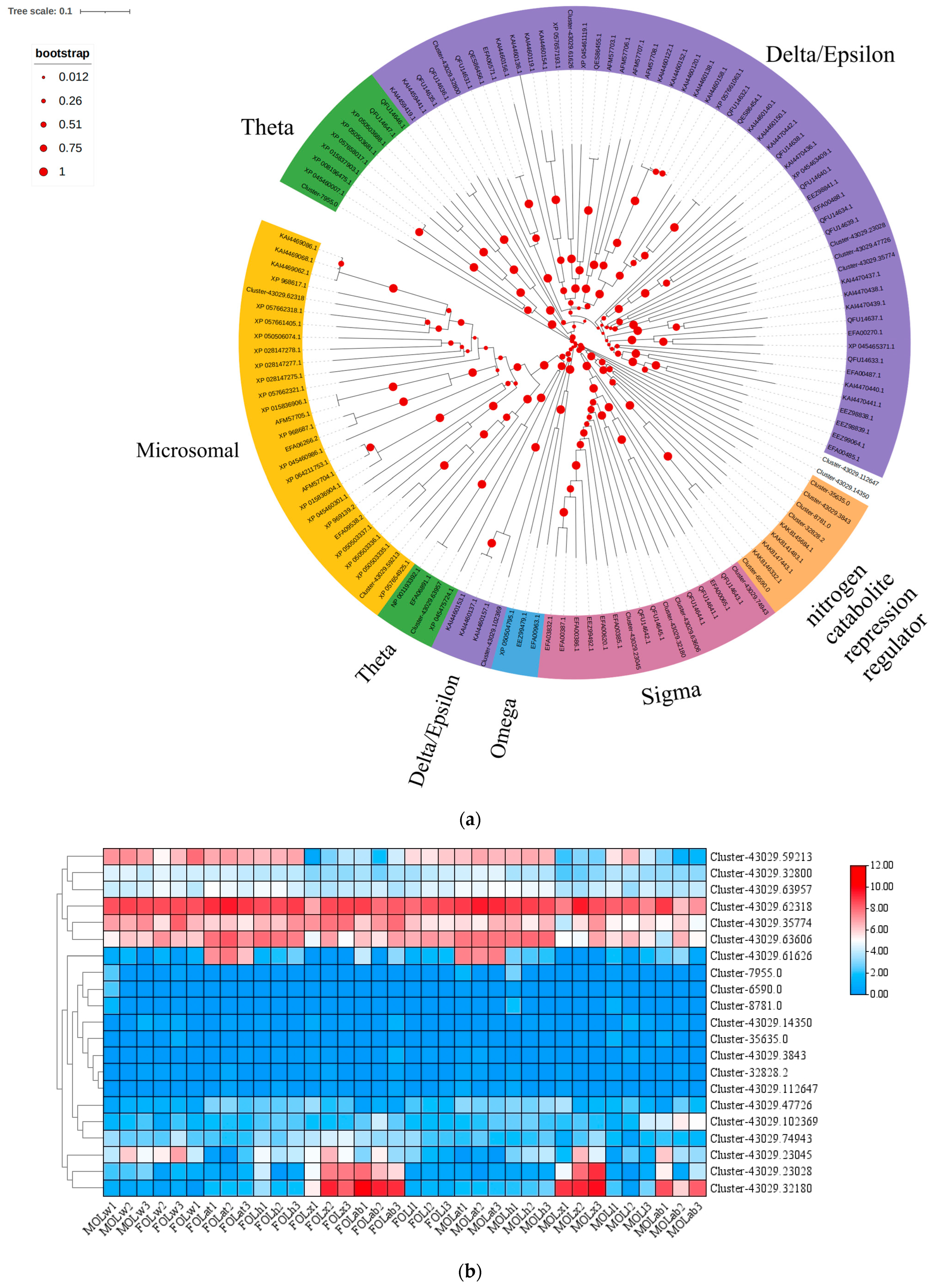 Biology 14 01411 g002 Biology 14 01411 g002