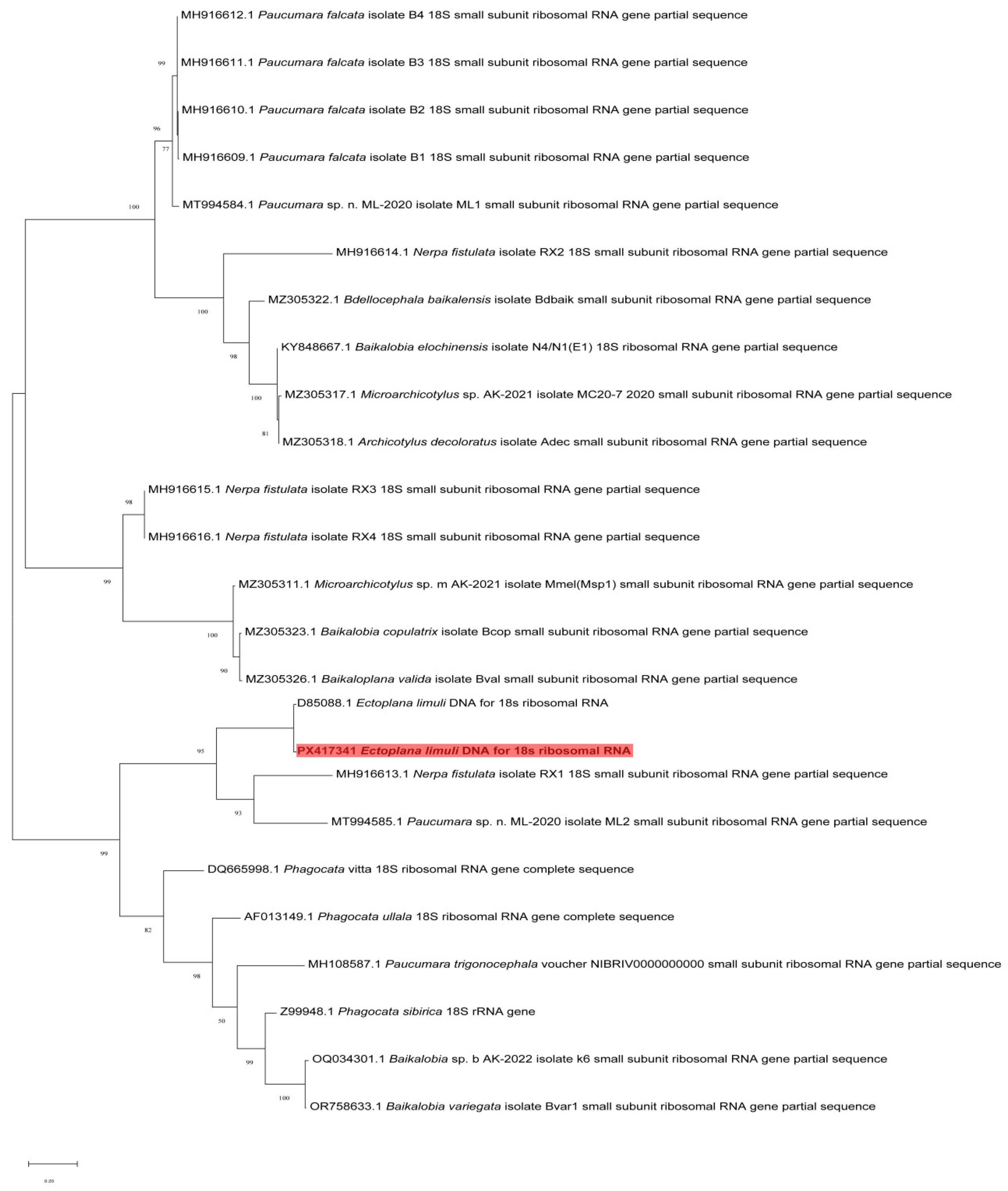 Biology 14 01412 g003 Biology 14 01412 g003