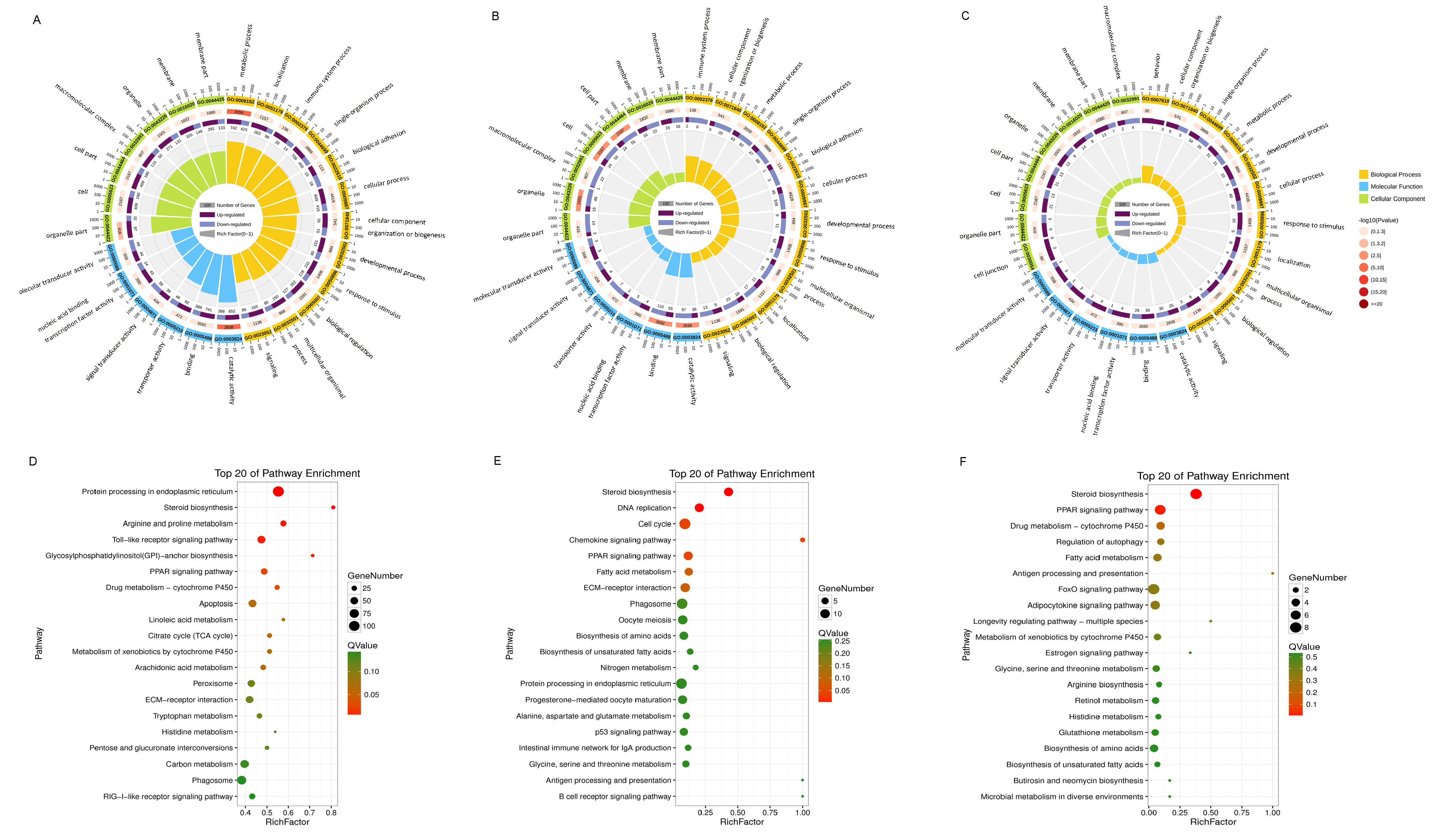 Biology 14 01413 g003