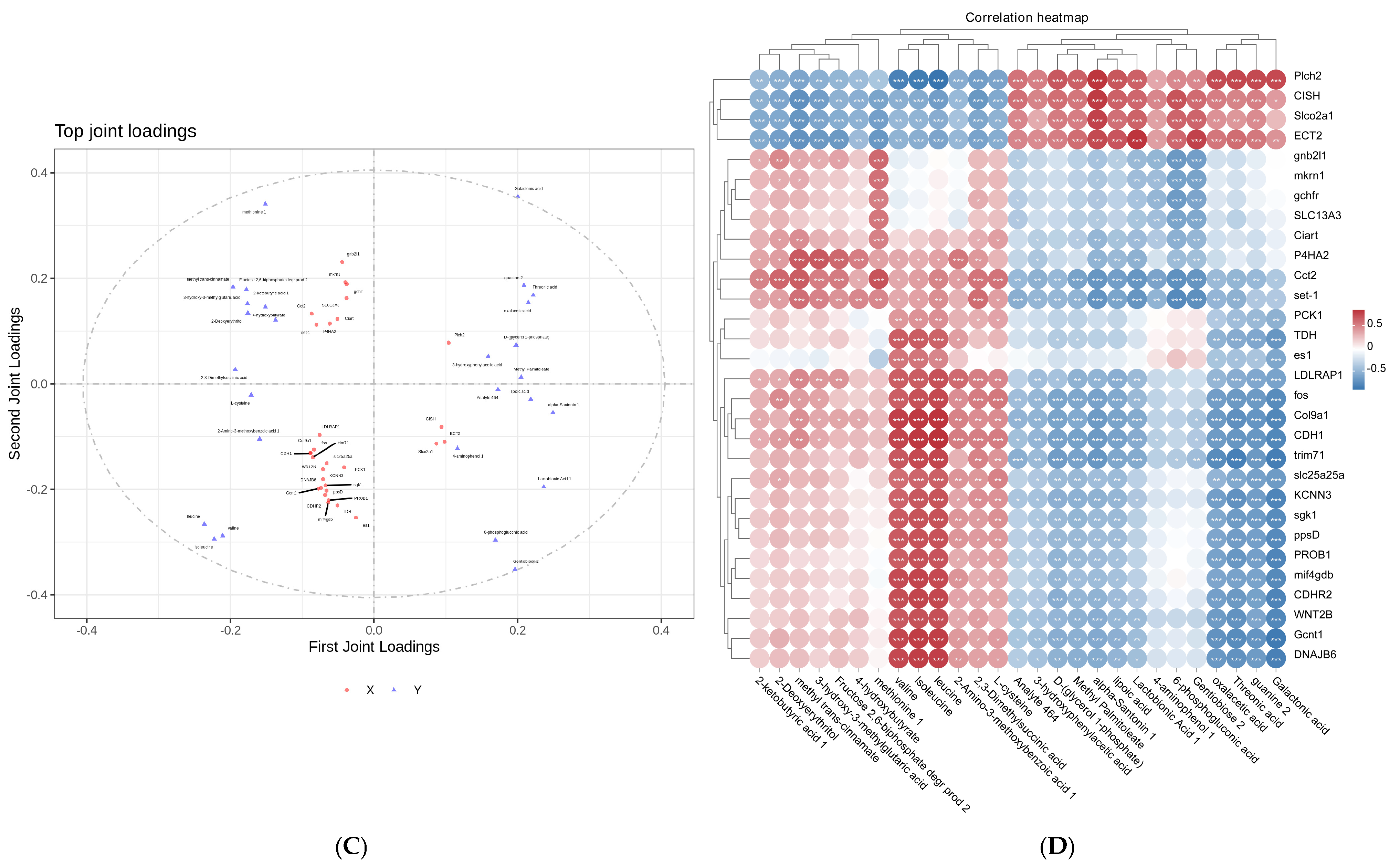 Biology 14 01413 g006b