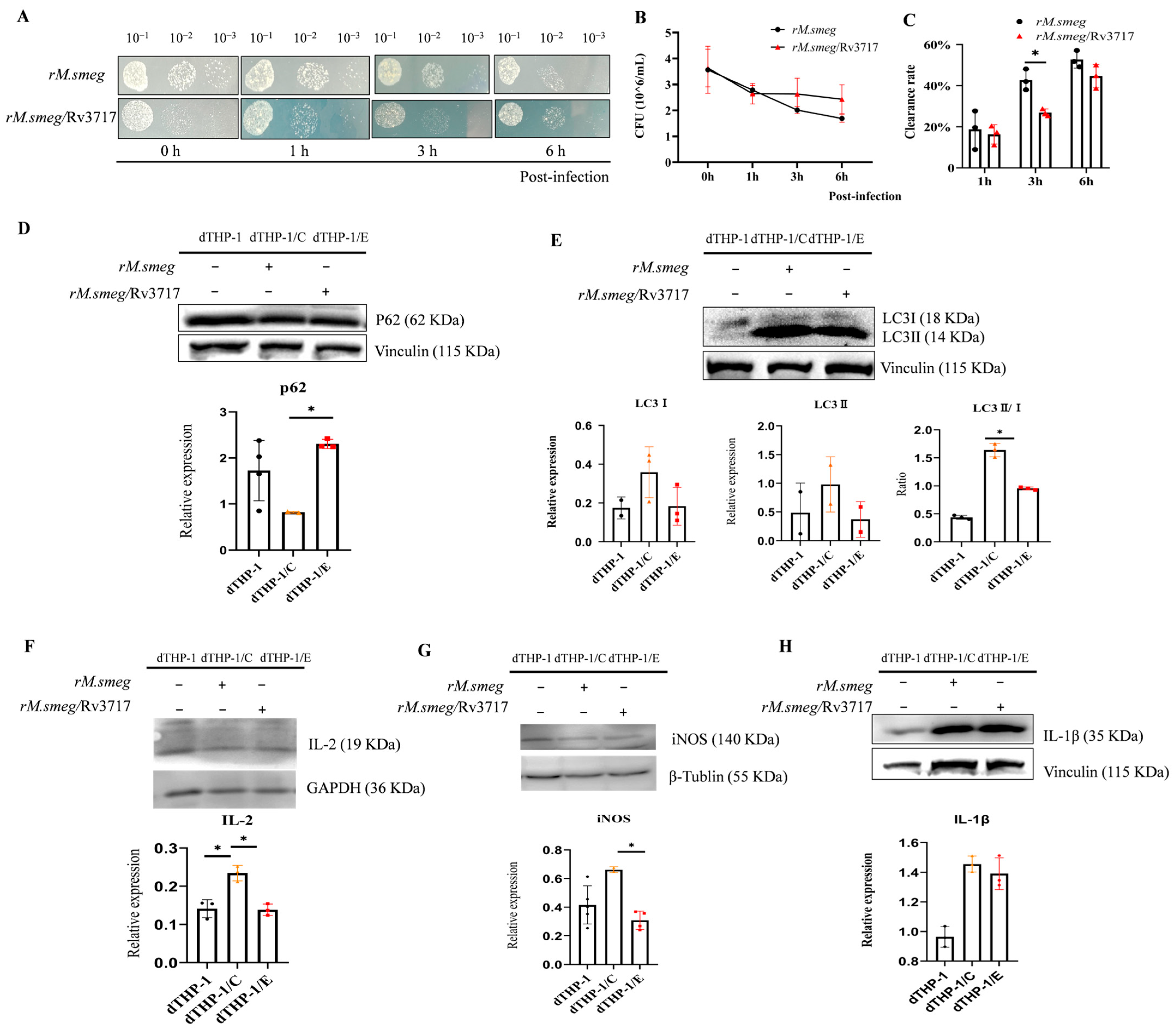 Biology 14 01414 g002 Biology 14 01414 g002