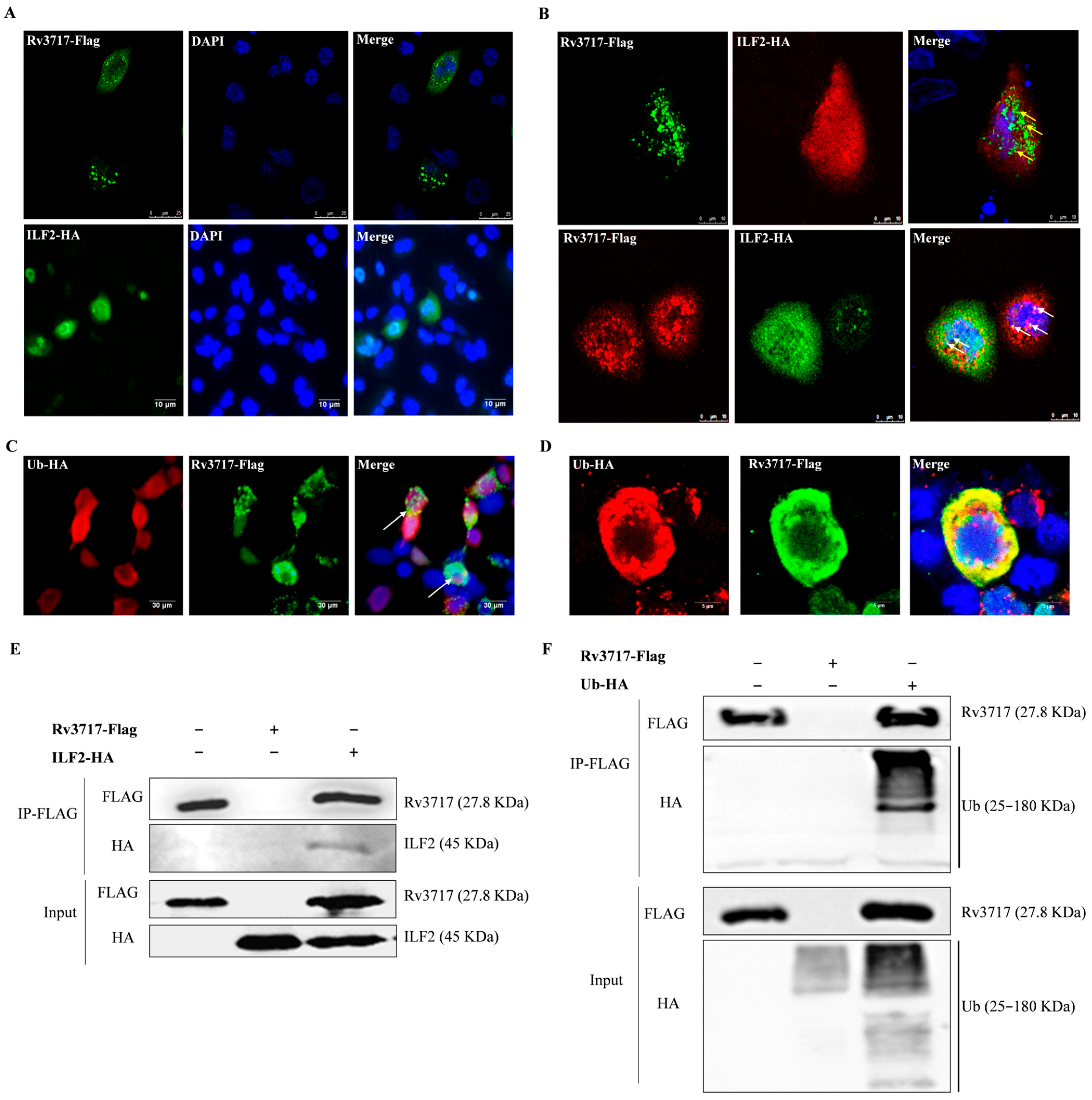 Biology 14 01414 g004 Biology 14 01414 g004