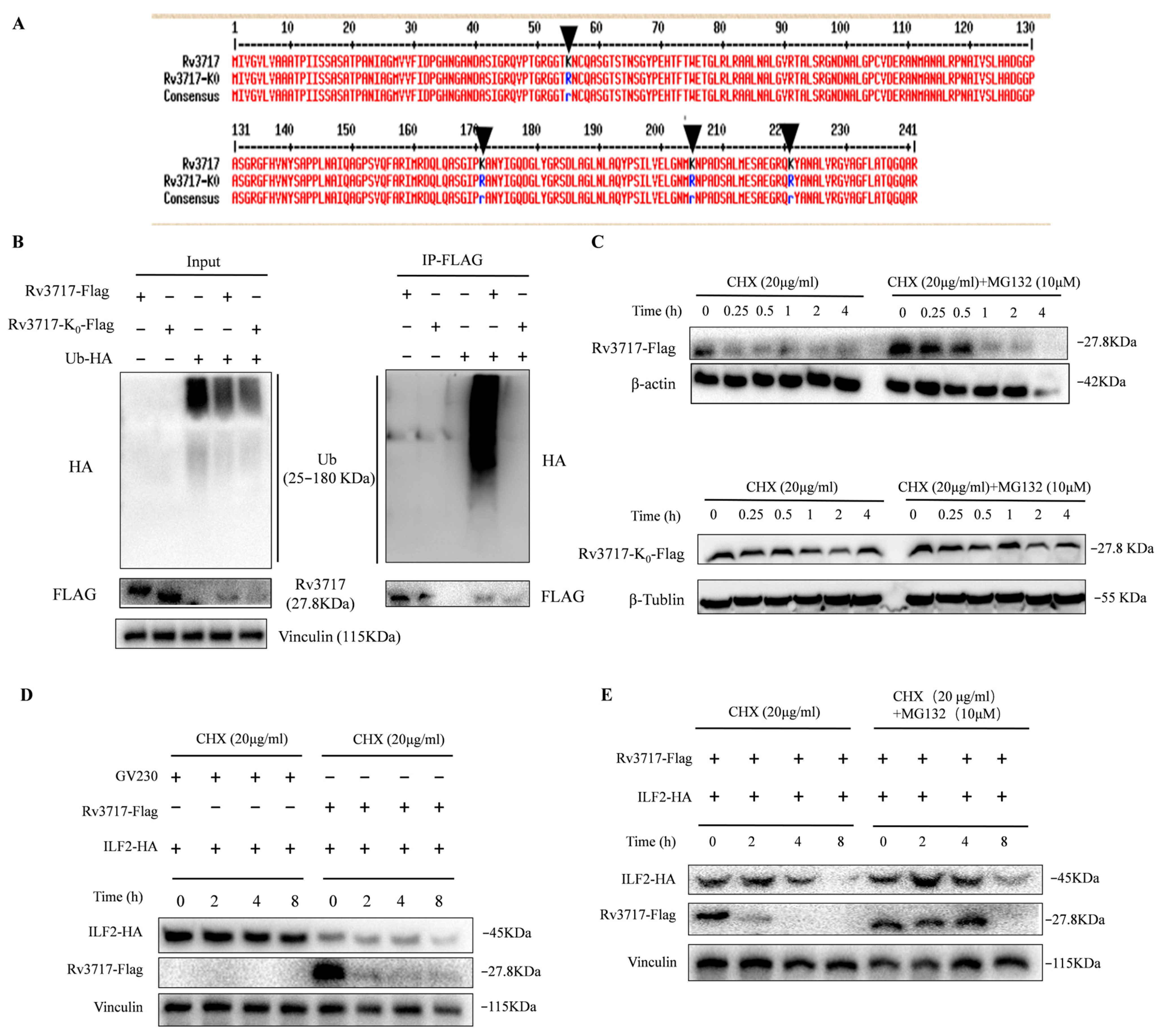 Biology 14 01414 g005 Biology 14 01414 g005