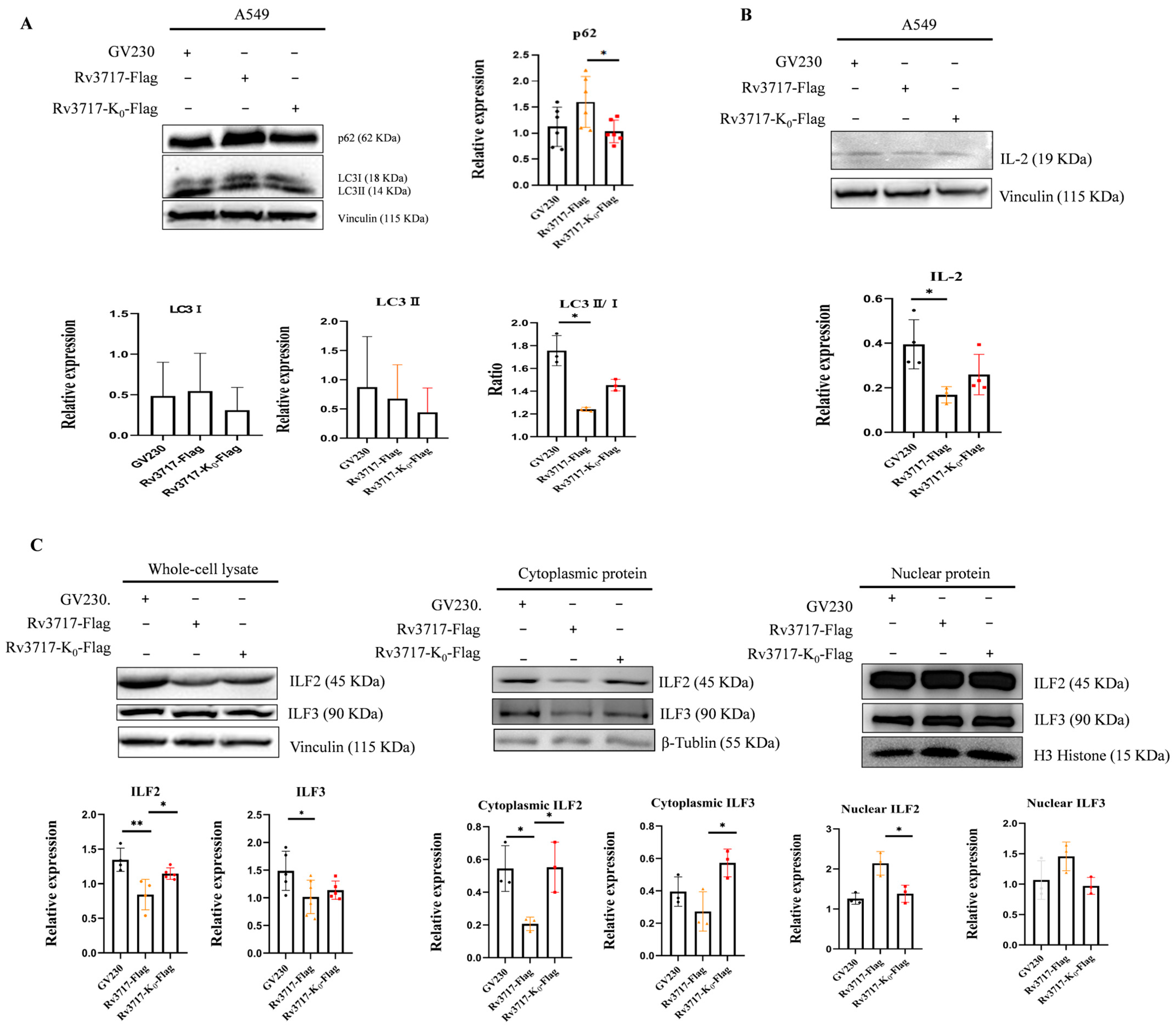 Biology 14 01414 g006 Biology 14 01414 g006