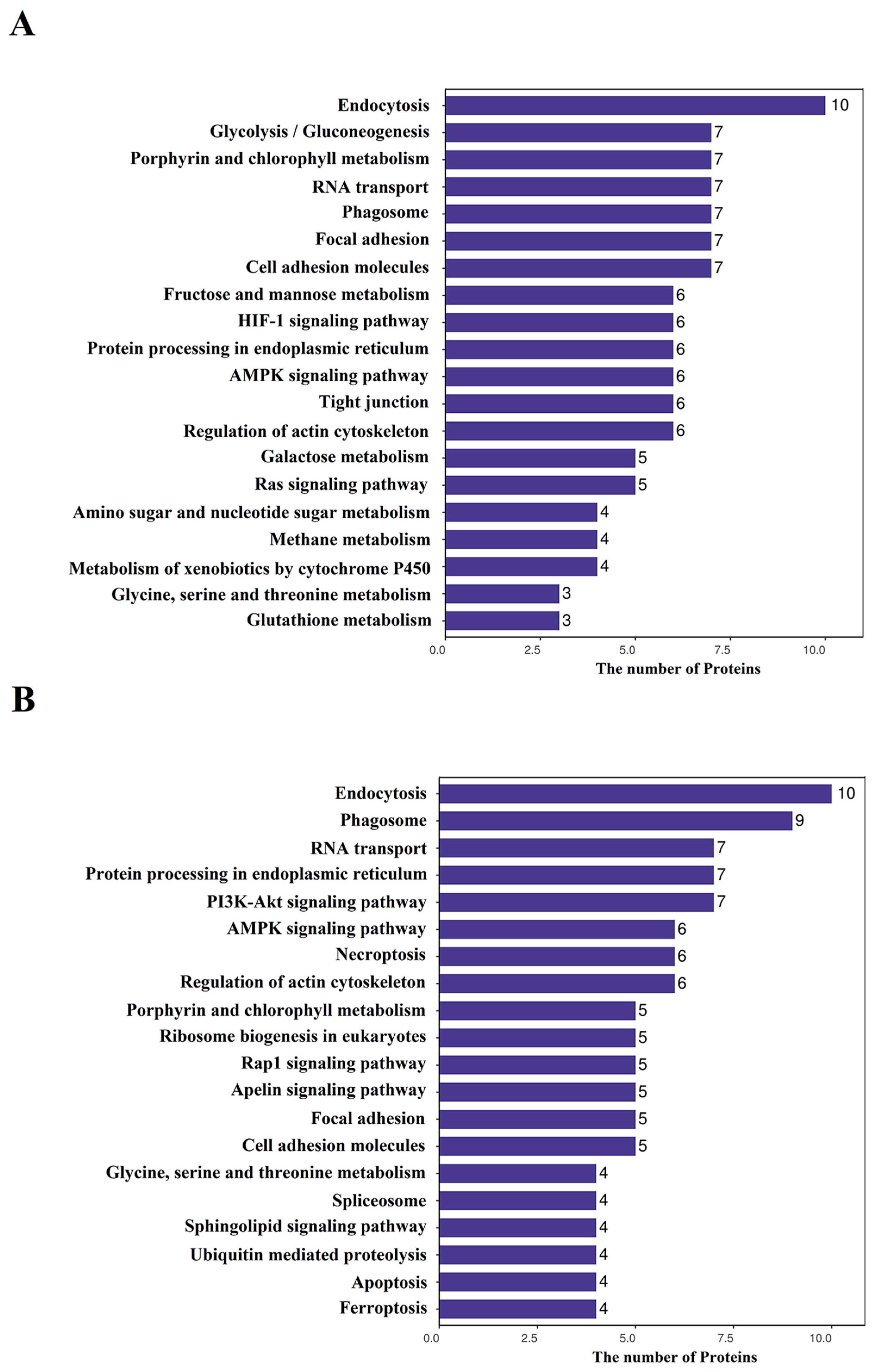 Biology 14 01417 g004 Biology 14 01417 g004