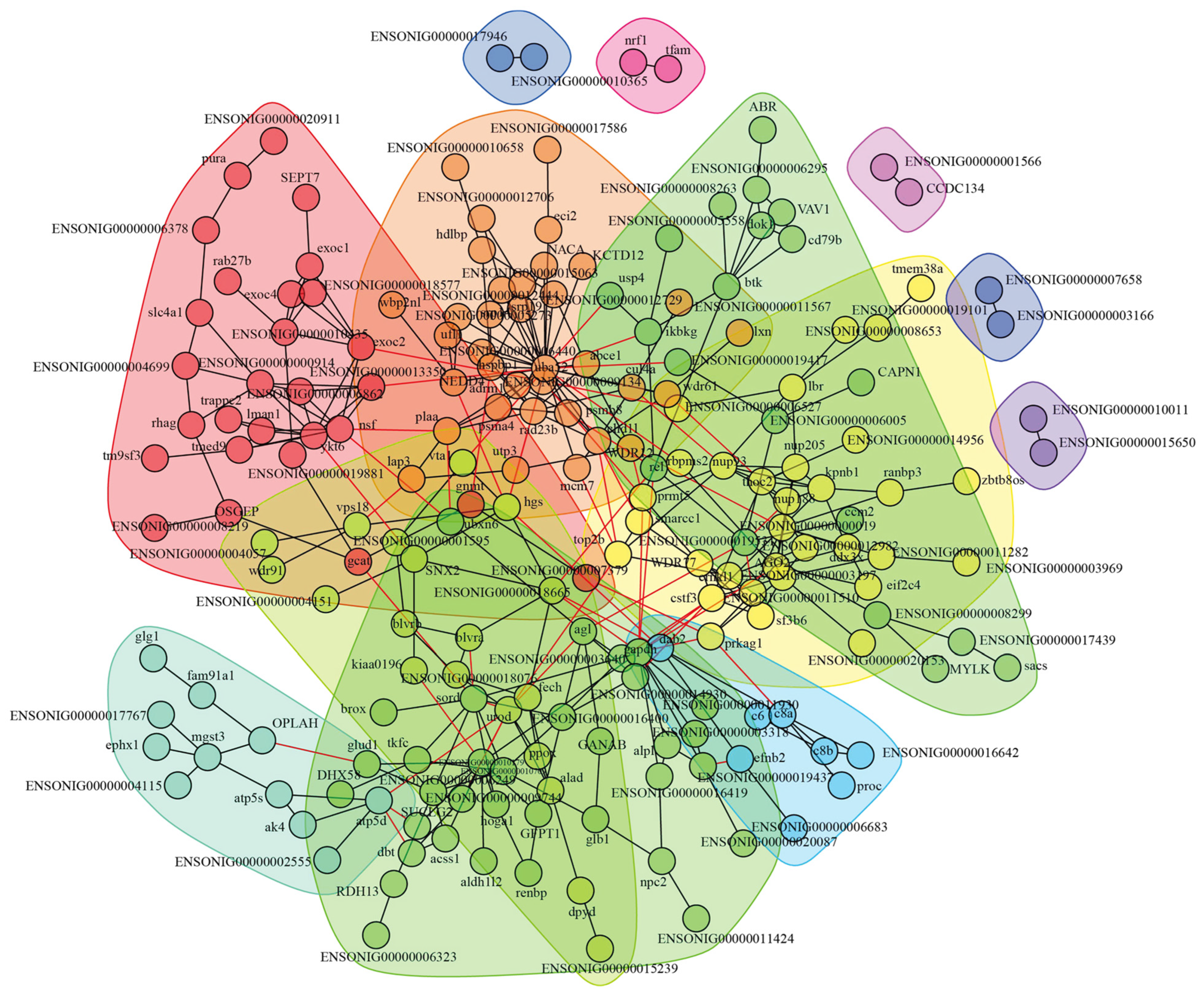 Biology 14 01417 g005 Biology 14 01417 g005
