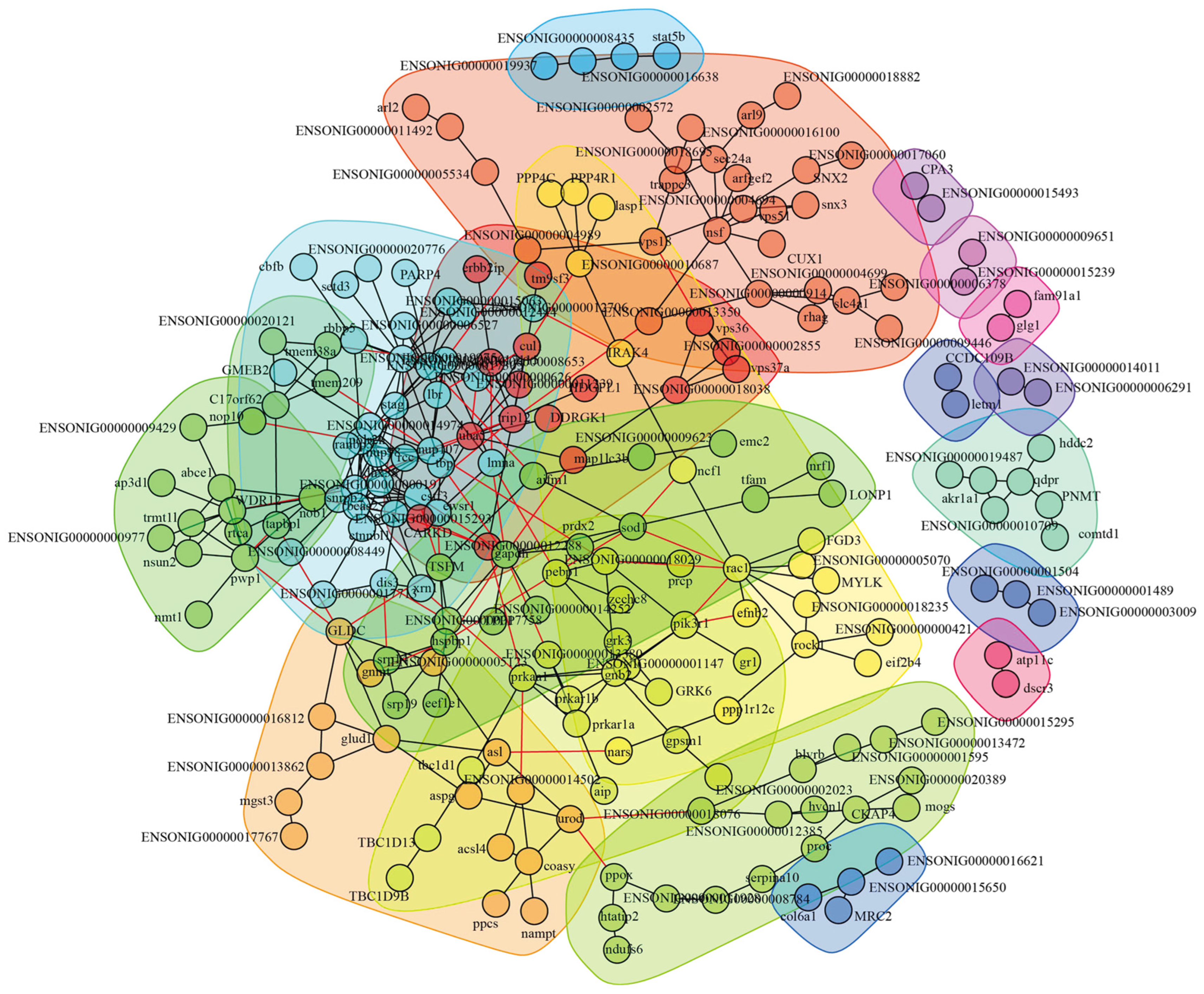 Biology 14 01417 g006 Biology 14 01417 g006