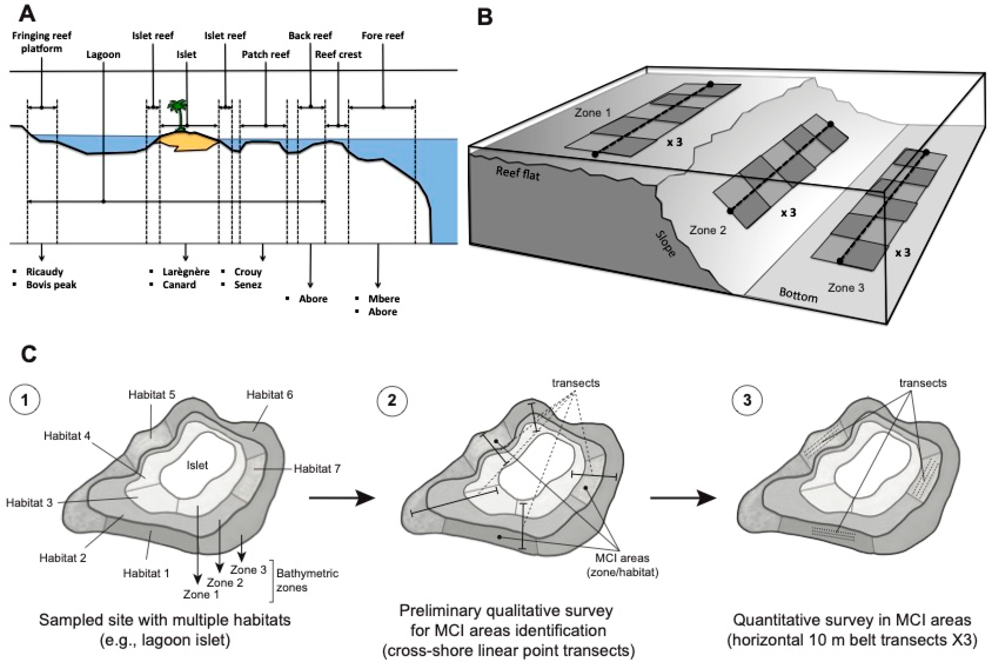 Biology 14 01419 g002