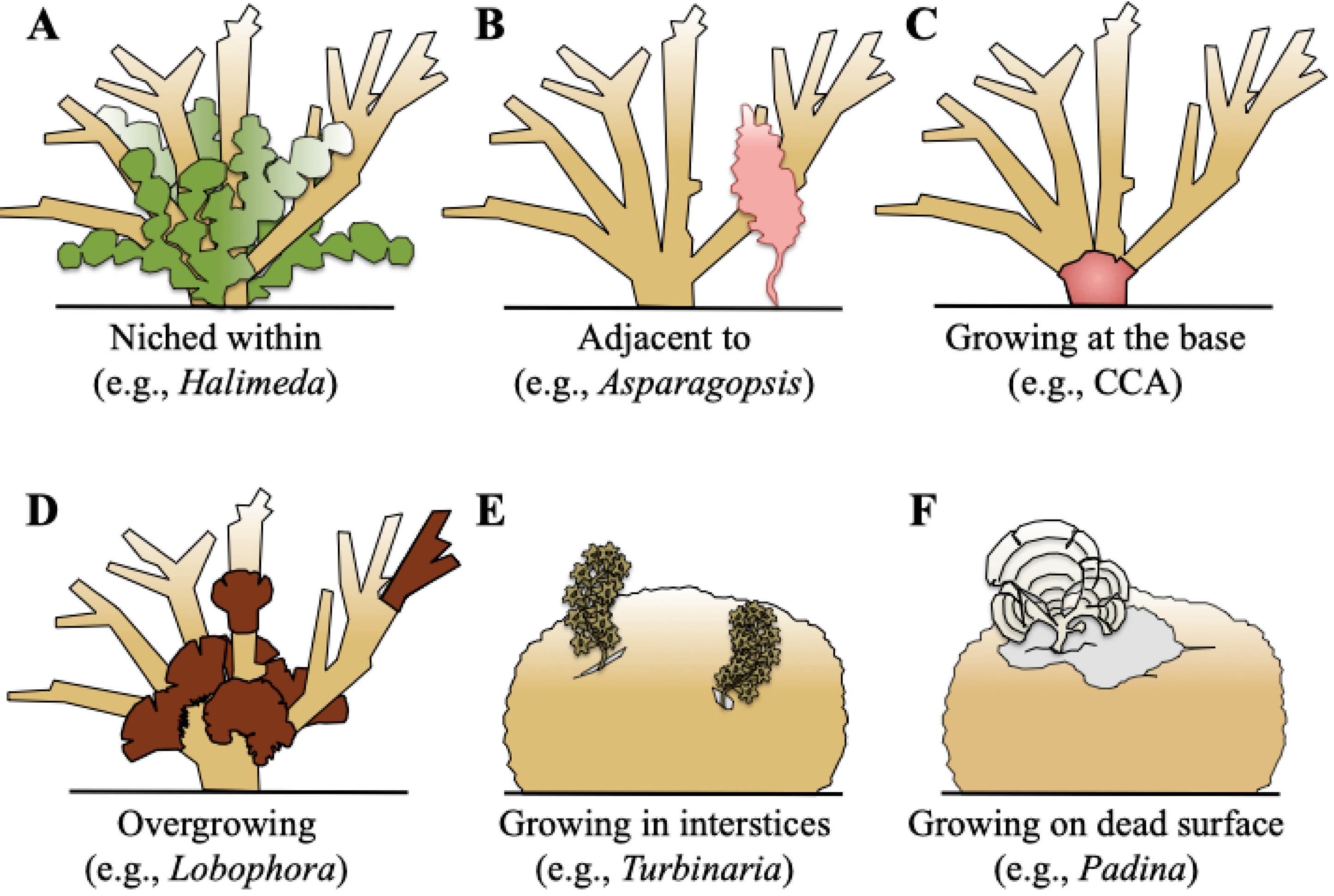 Biology 14 01419 g003