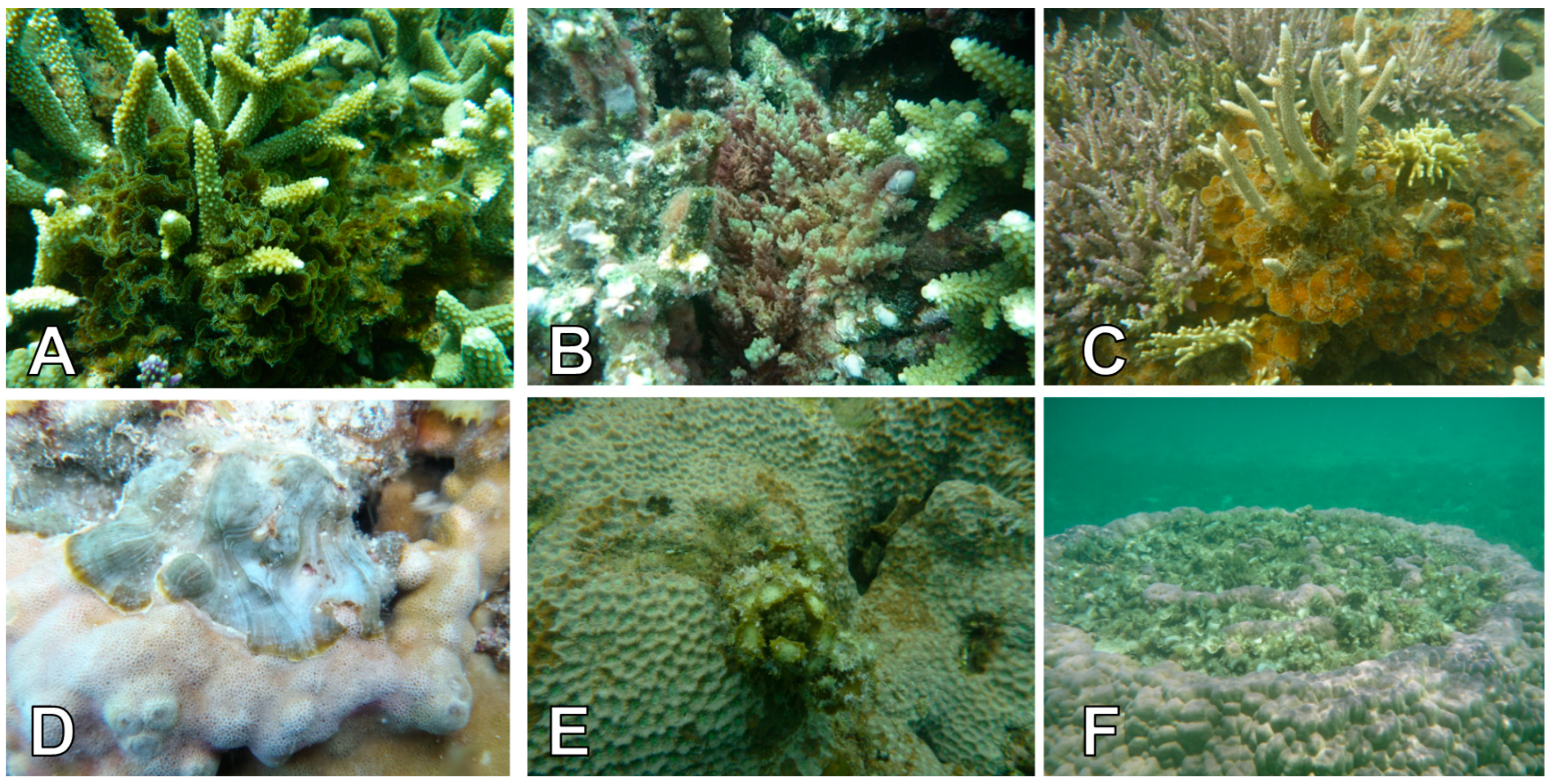 Biology 14 01419 g004