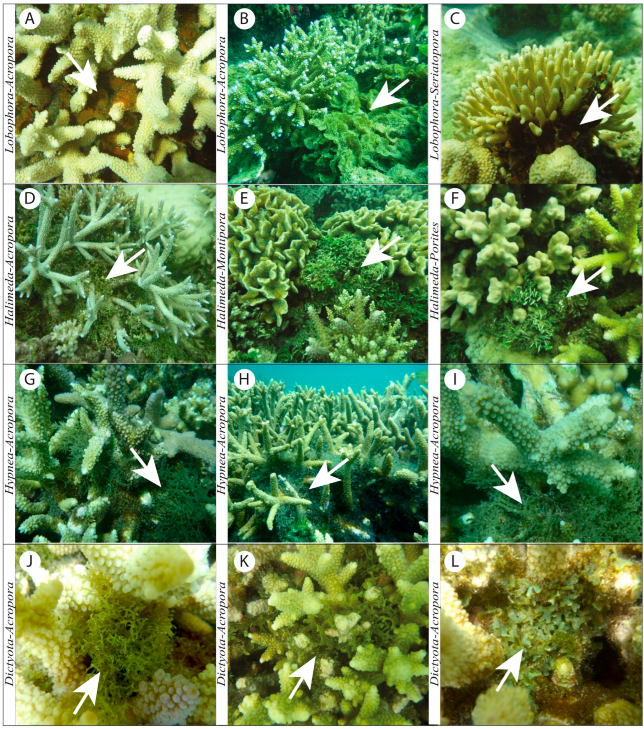 Biology 14 01419 g009