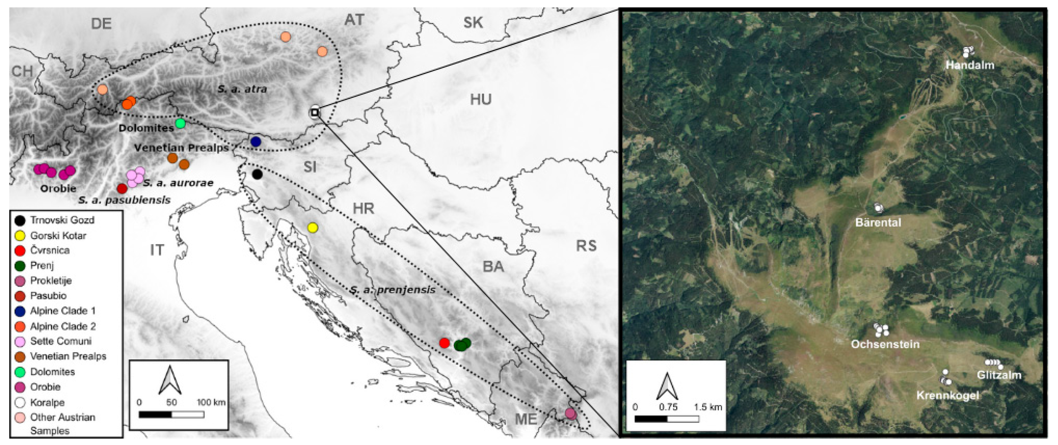 Biology 14 01428 g001 Biology 14 01428 g001