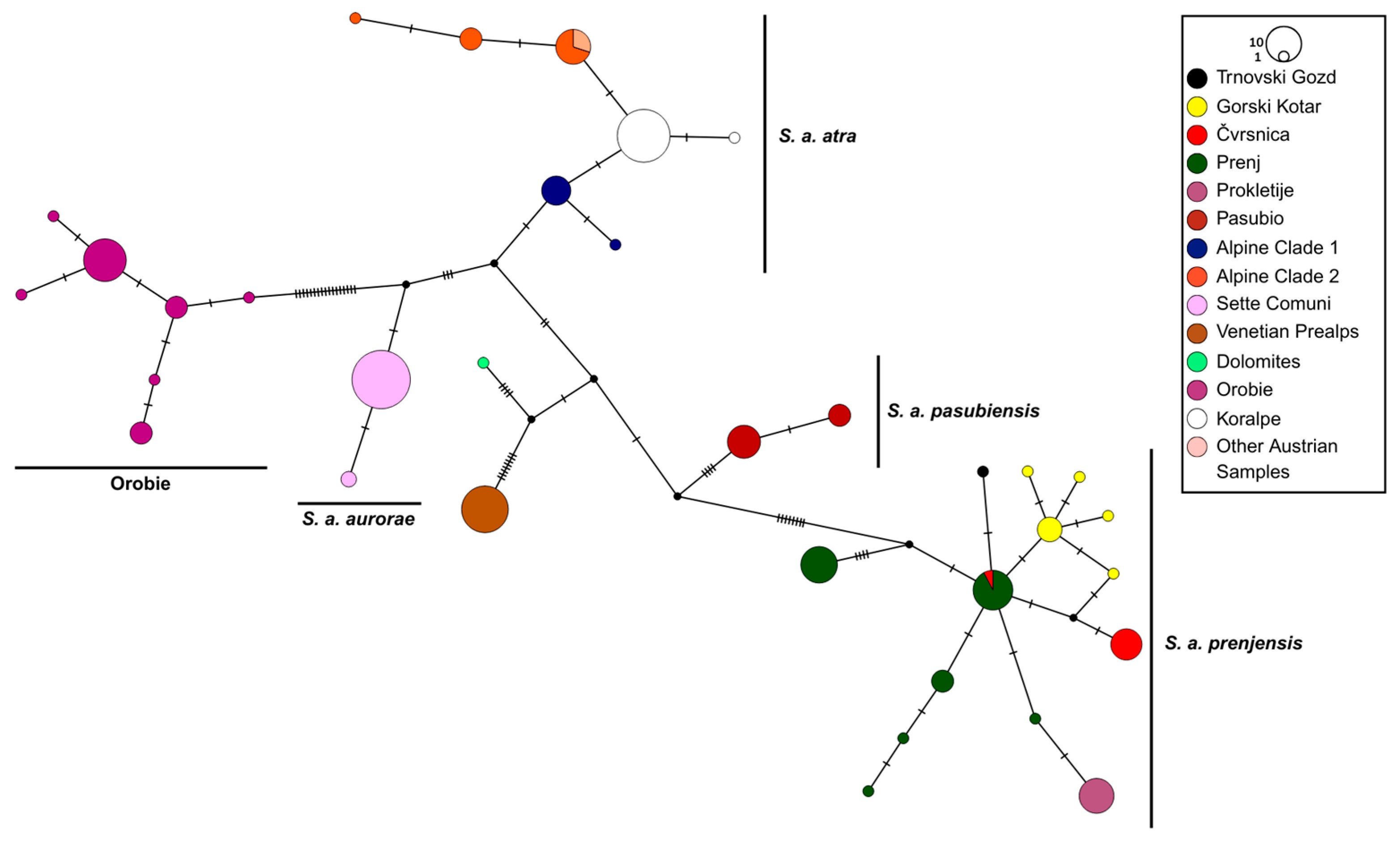 Biology 14 01428 g002 Biology 14 01428 g002