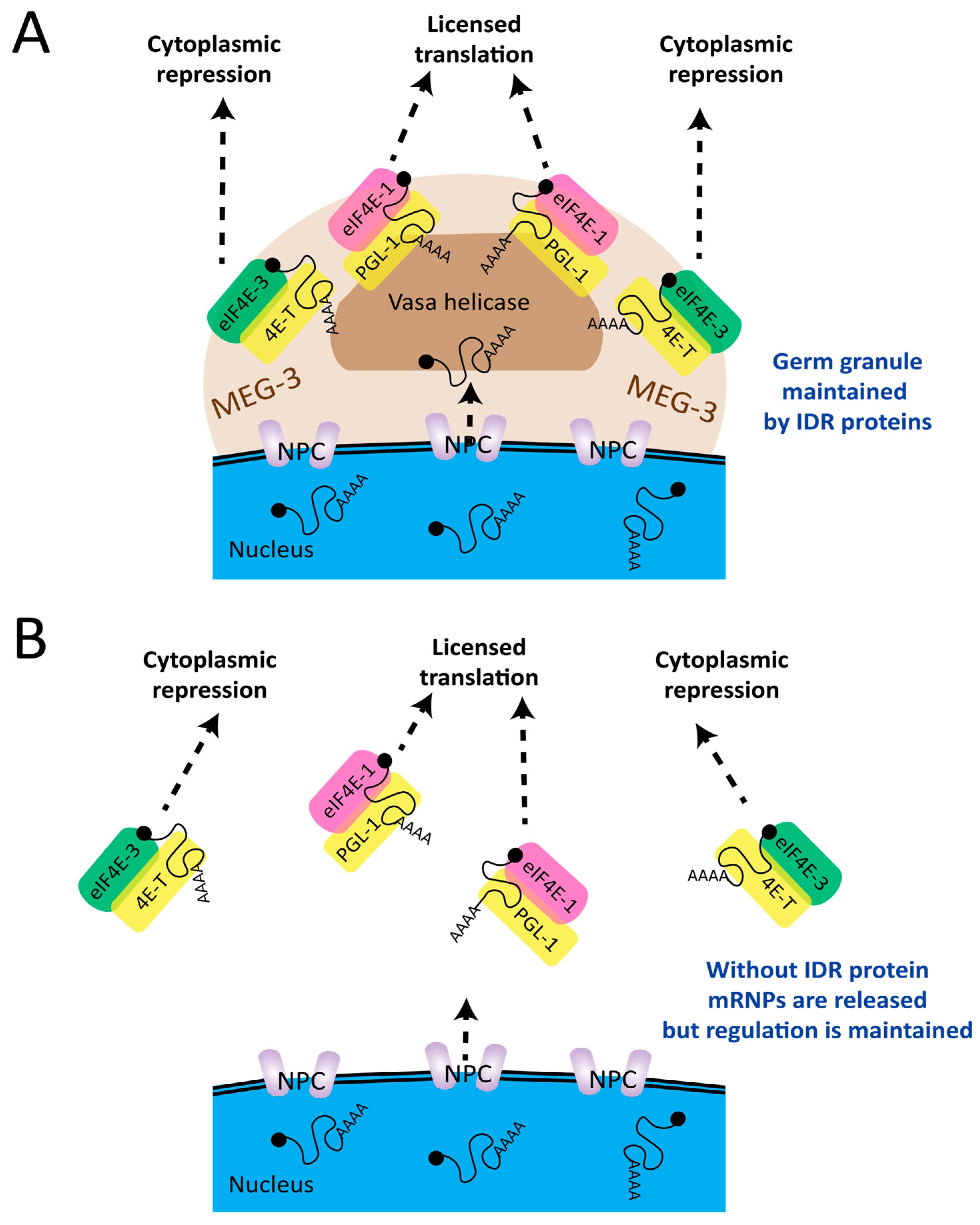 Biology 14 01430 g001