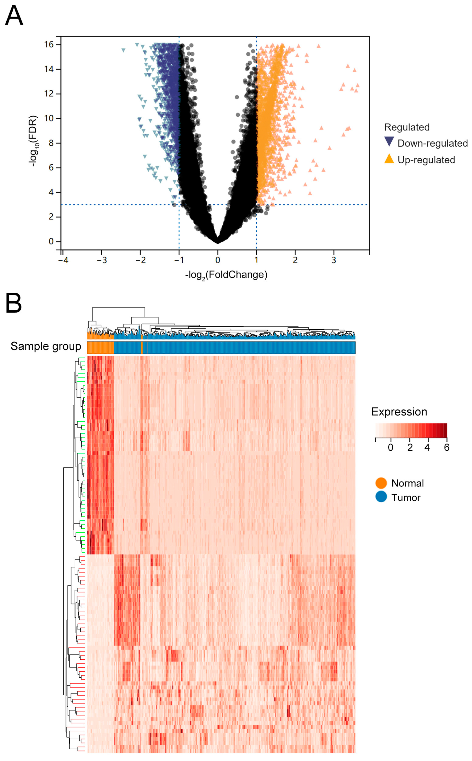 Biology 14 01431 g001 Biology 14 01431 g001