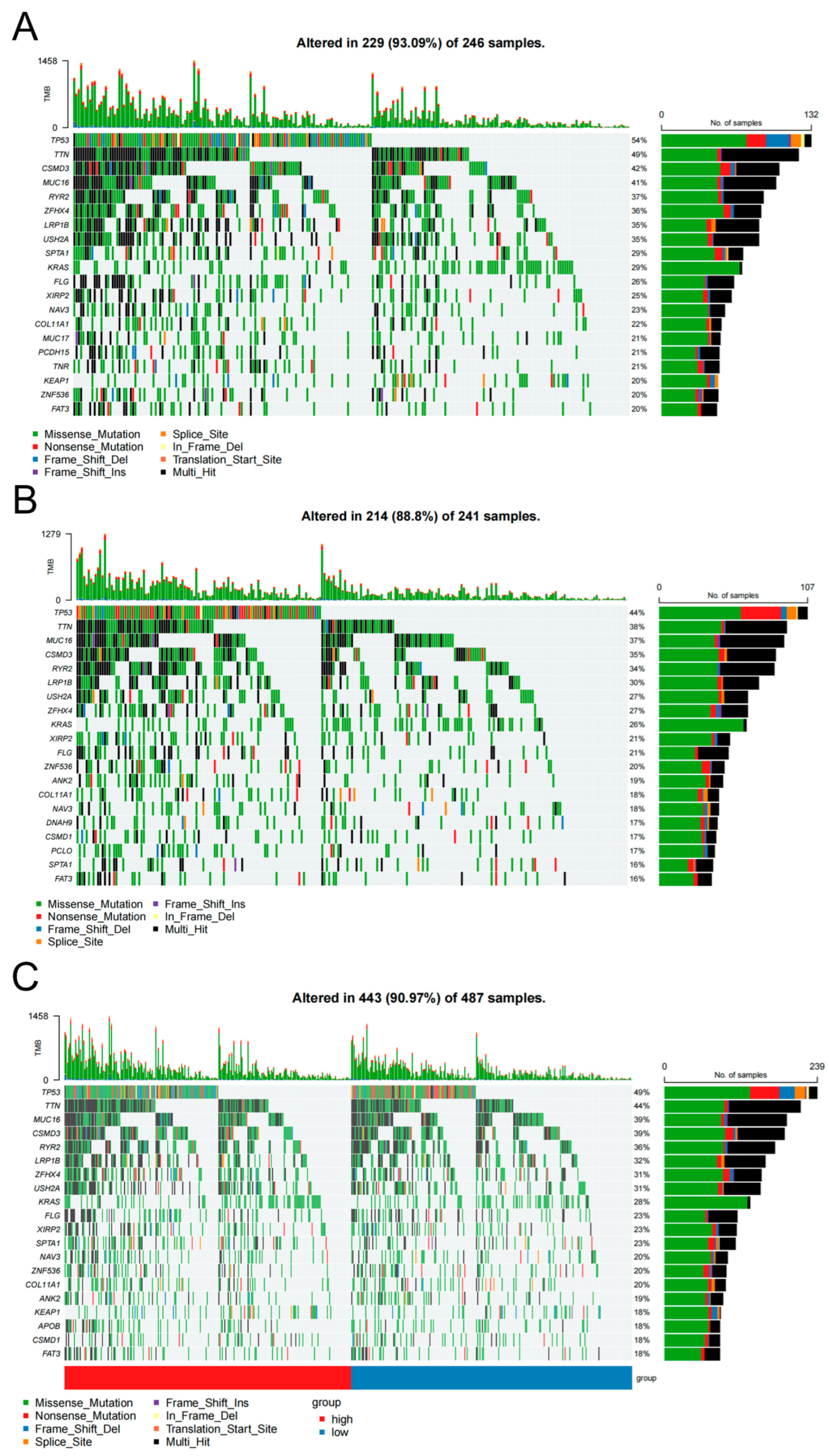 Biology 14 01431 g007 Biology 14 01431 g007