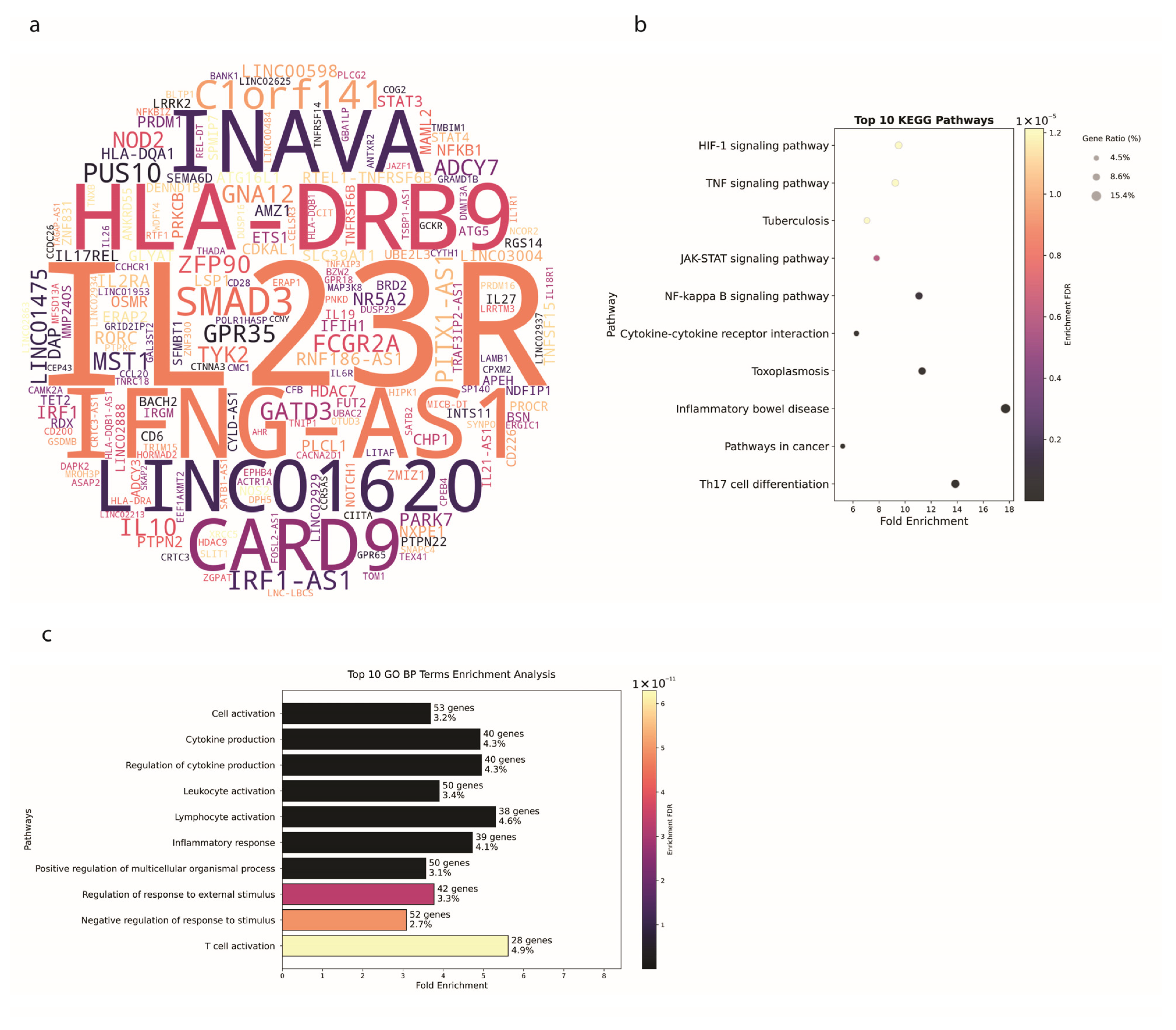 Biology 14 01433 g003 Biology 14 01433 g003