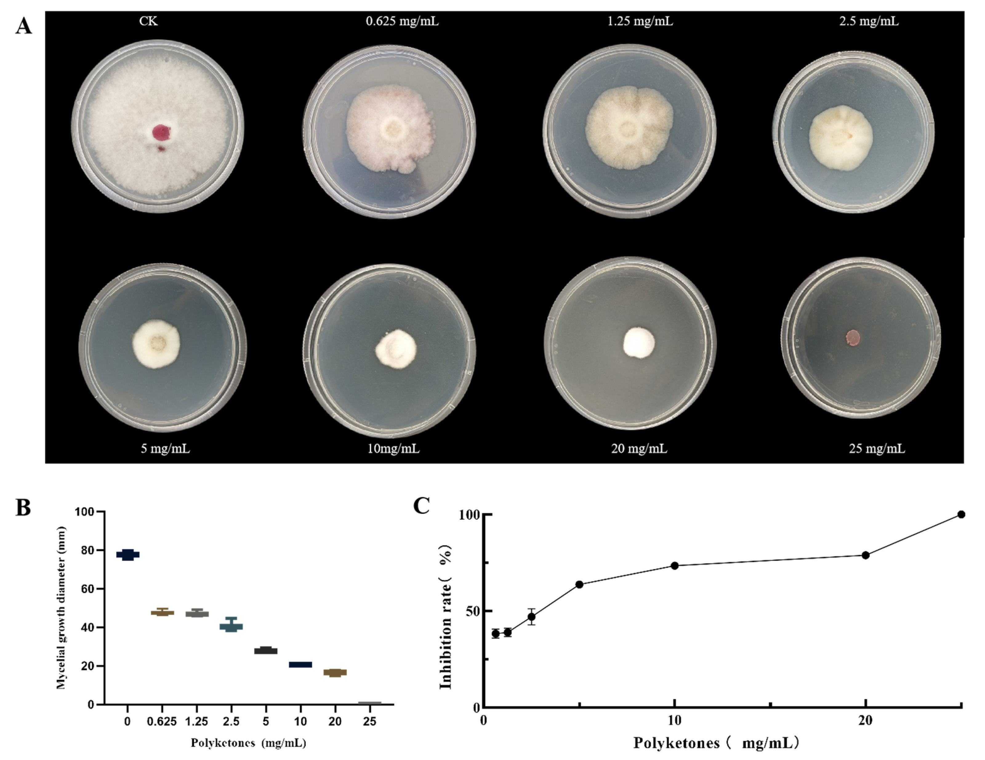 Biology 14 01436 g001