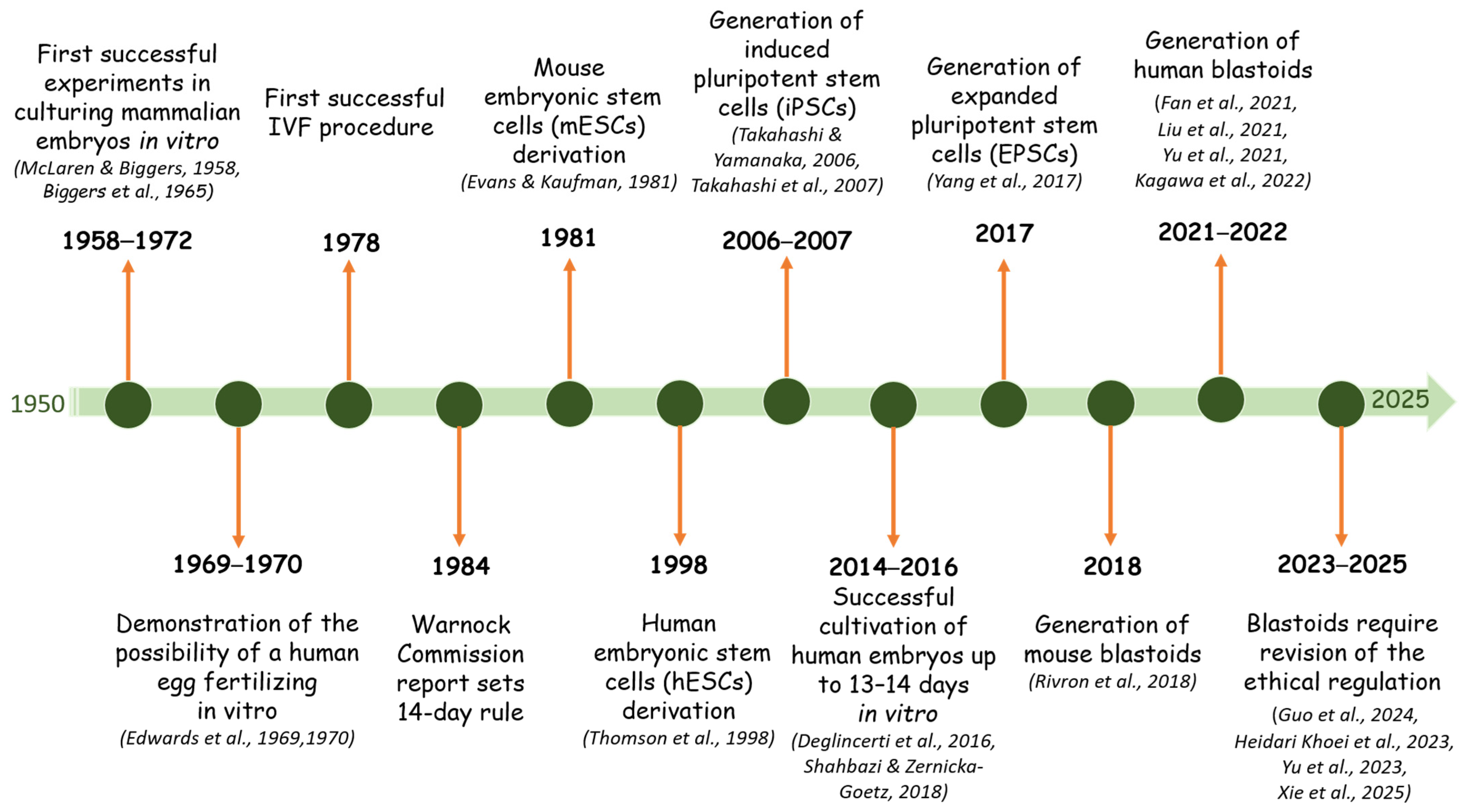 Biology 14 01439 g001