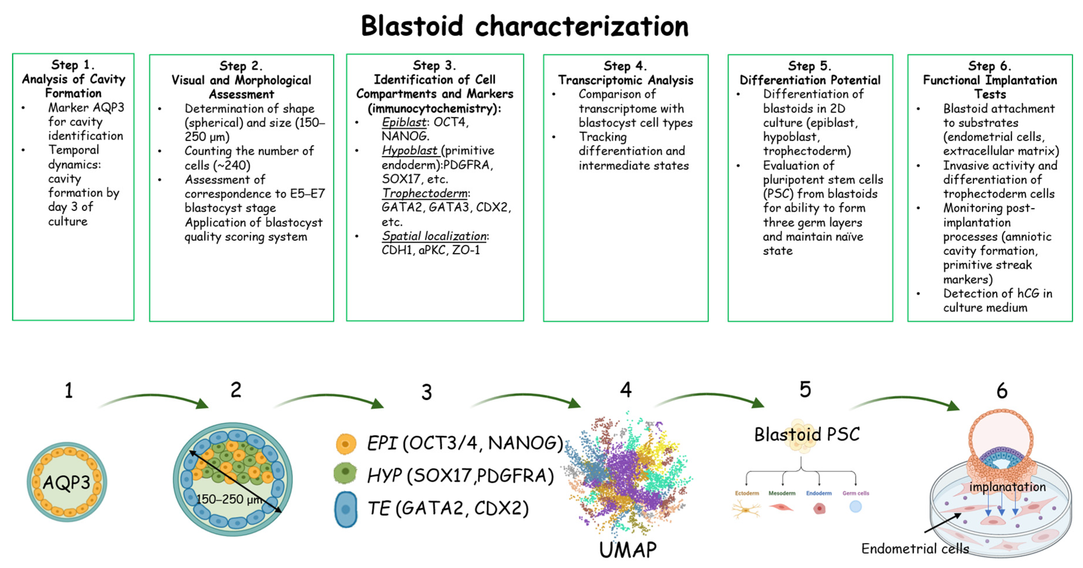 Biology 14 01439 g005