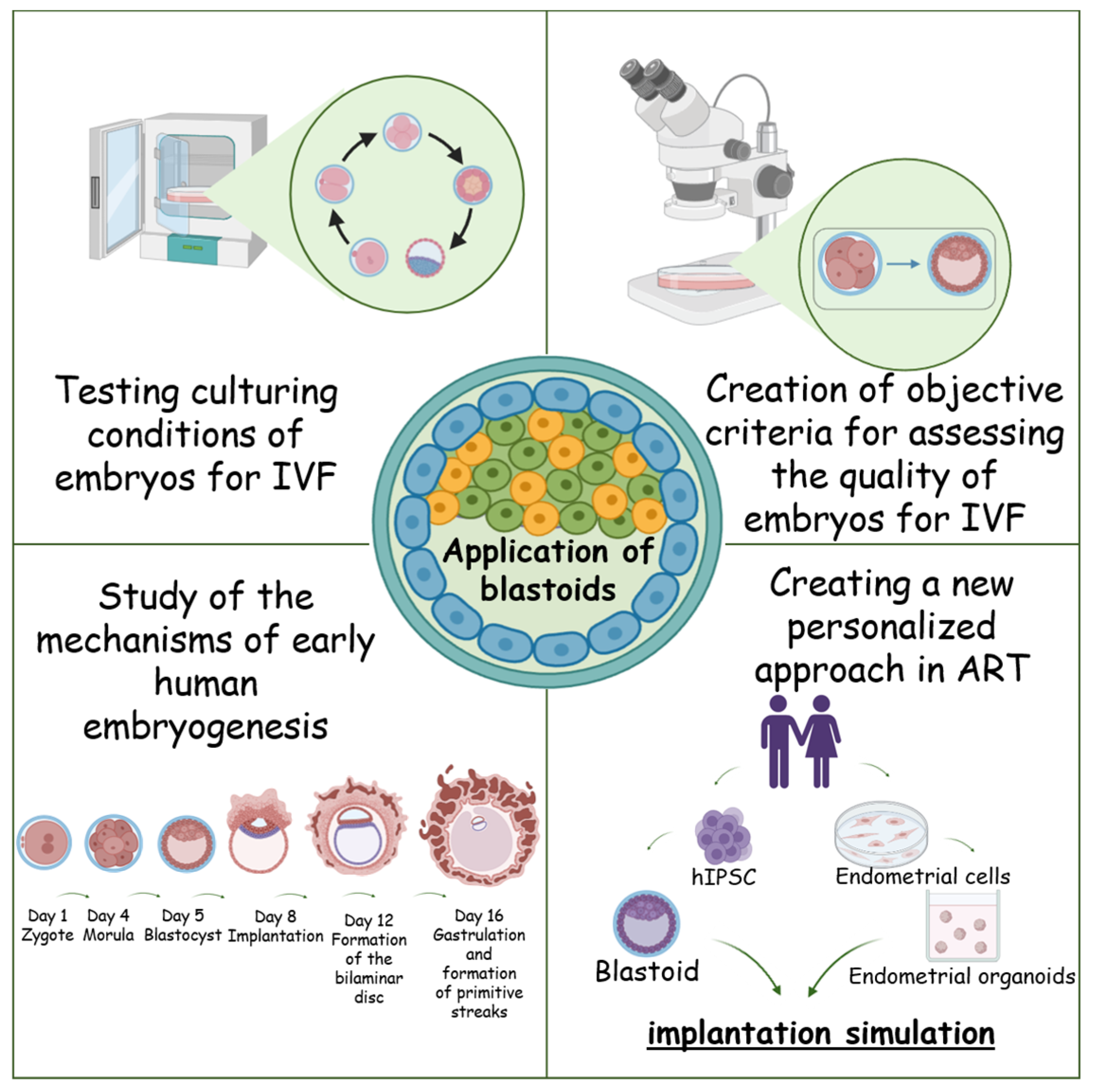 Biology 14 01439 g006
