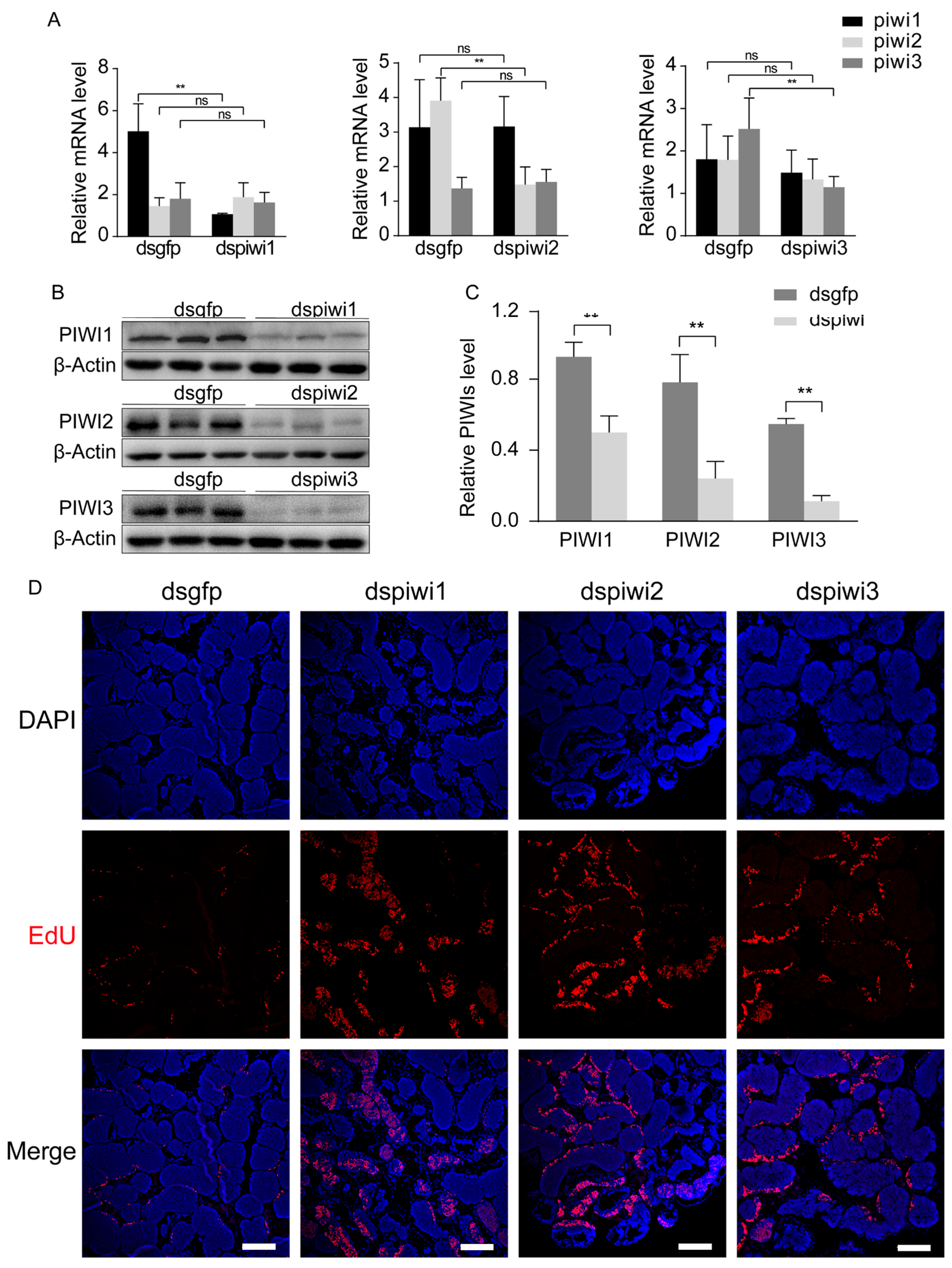 Biology 14 01440 g001 Biology 14 01440 g001