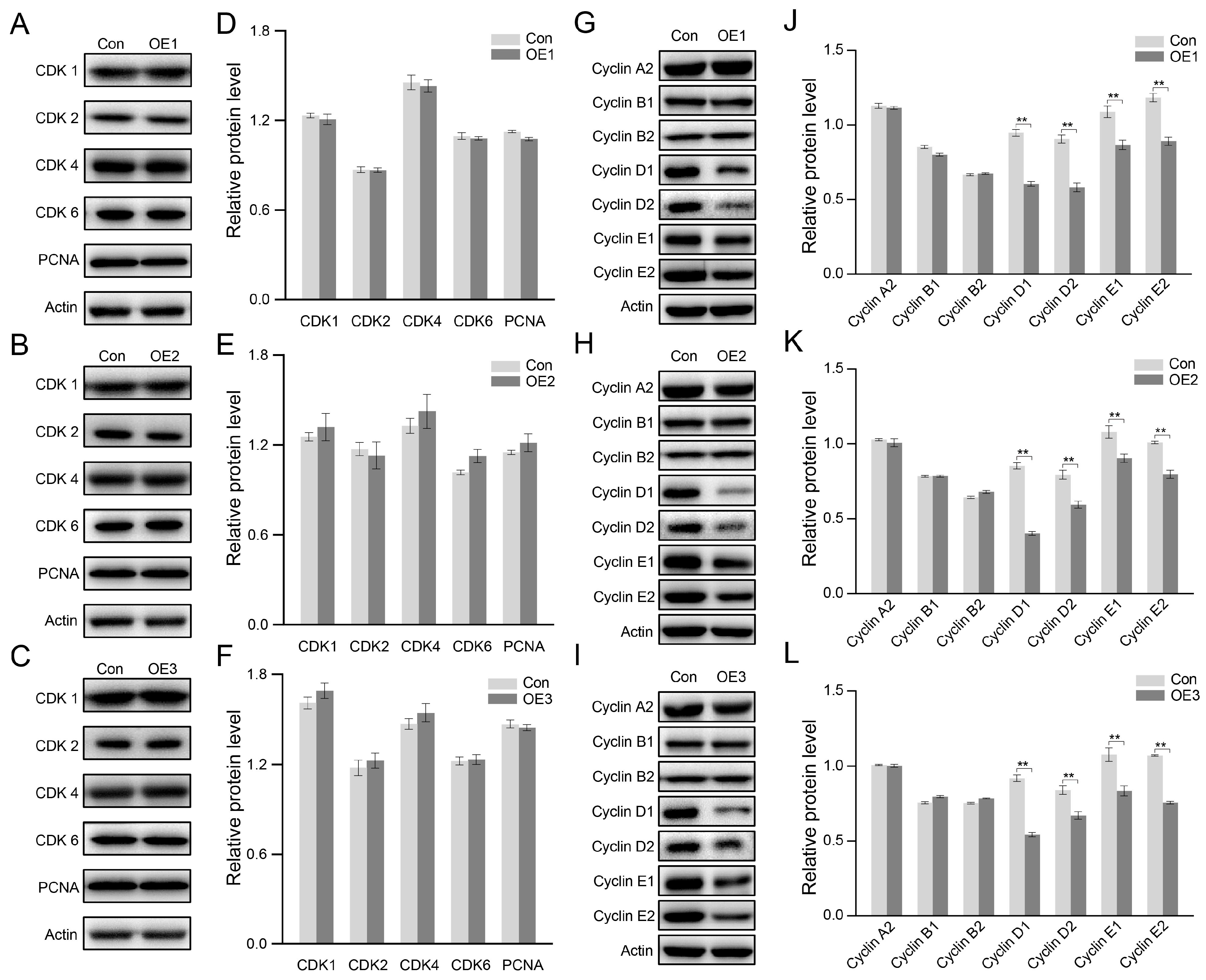 Biology 14 01440 g004 Biology 14 01440 g004