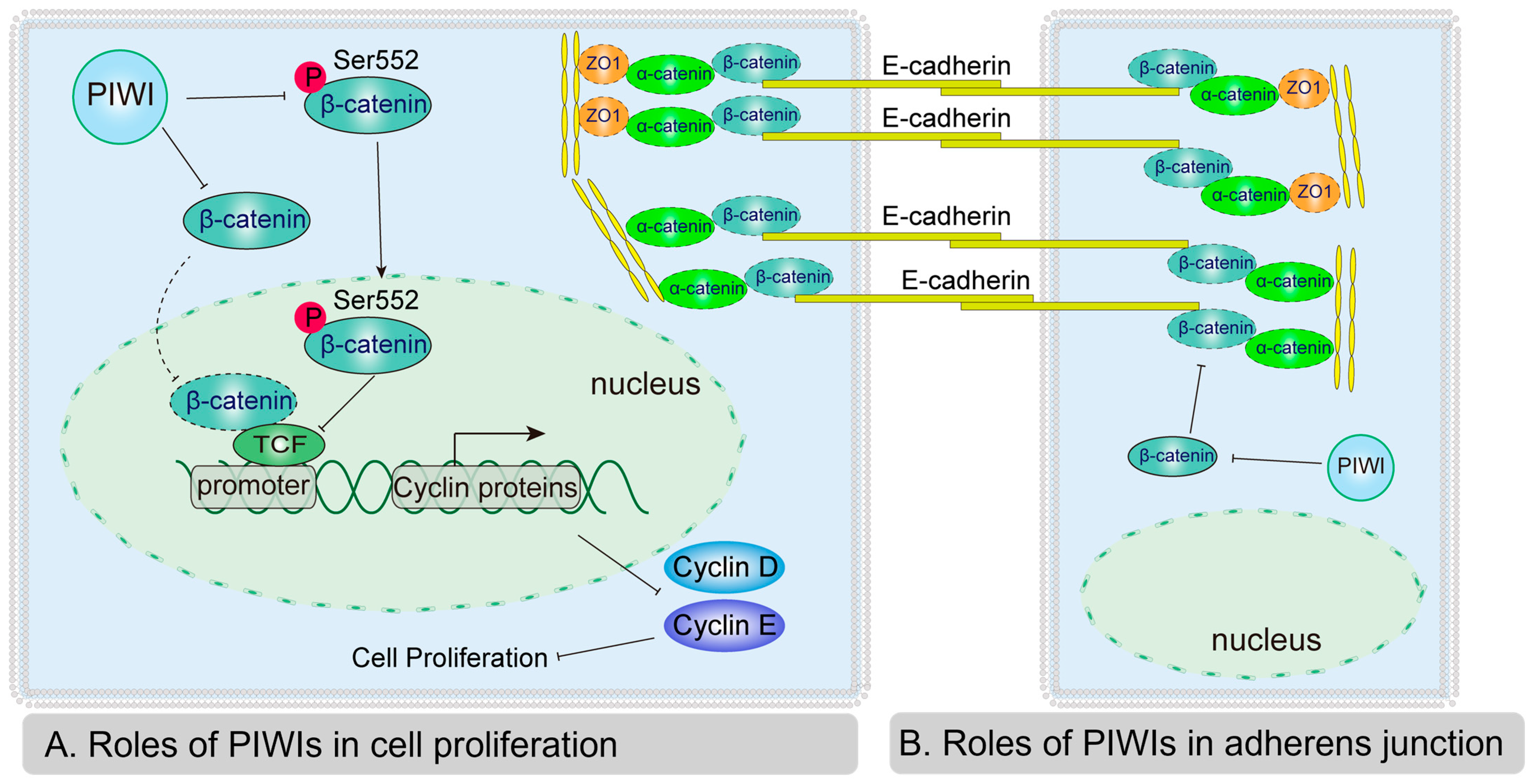 Biology 14 01440 g007 Biology 14 01440 g007