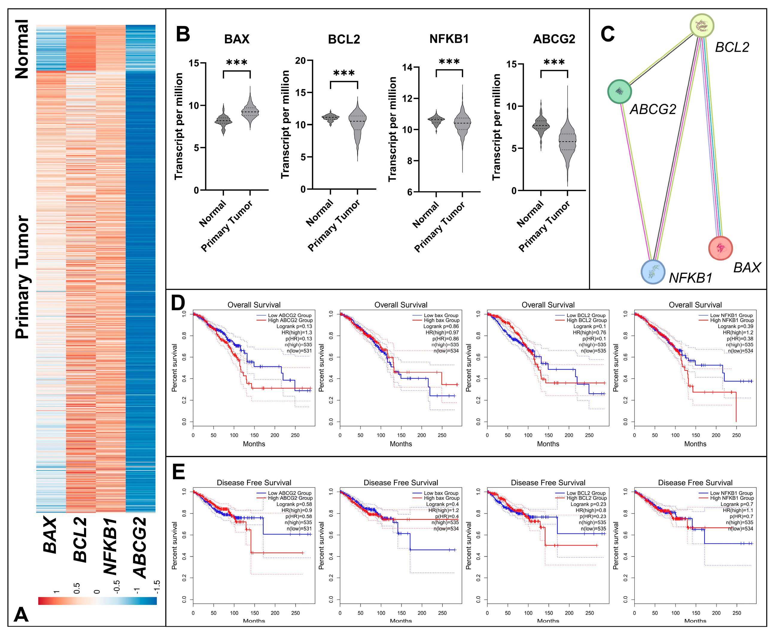 Biology 14 01443 g001 Biology 14 01443 g001