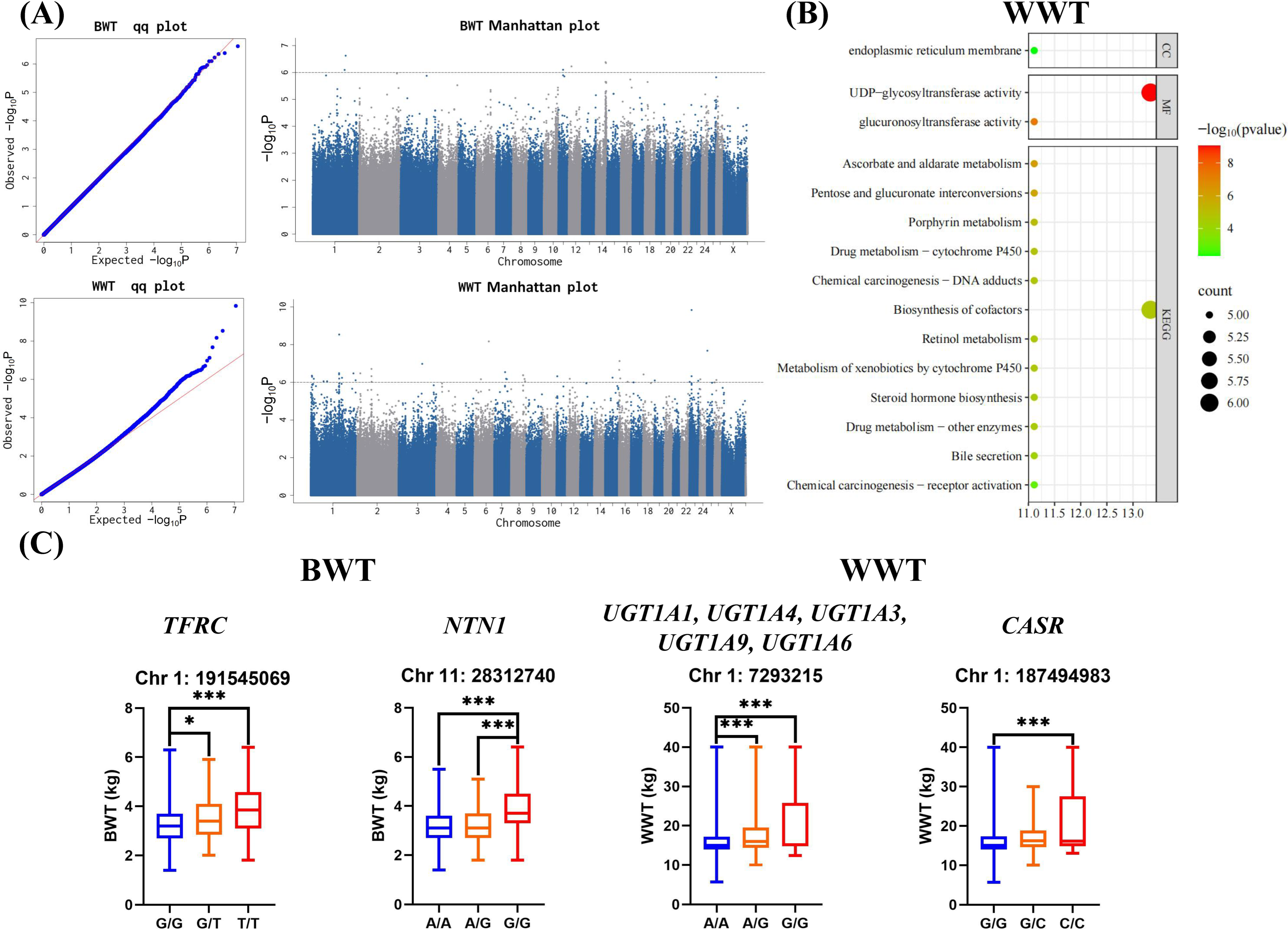 Biology 14 01446 g003 Biology 14 01446 g003
